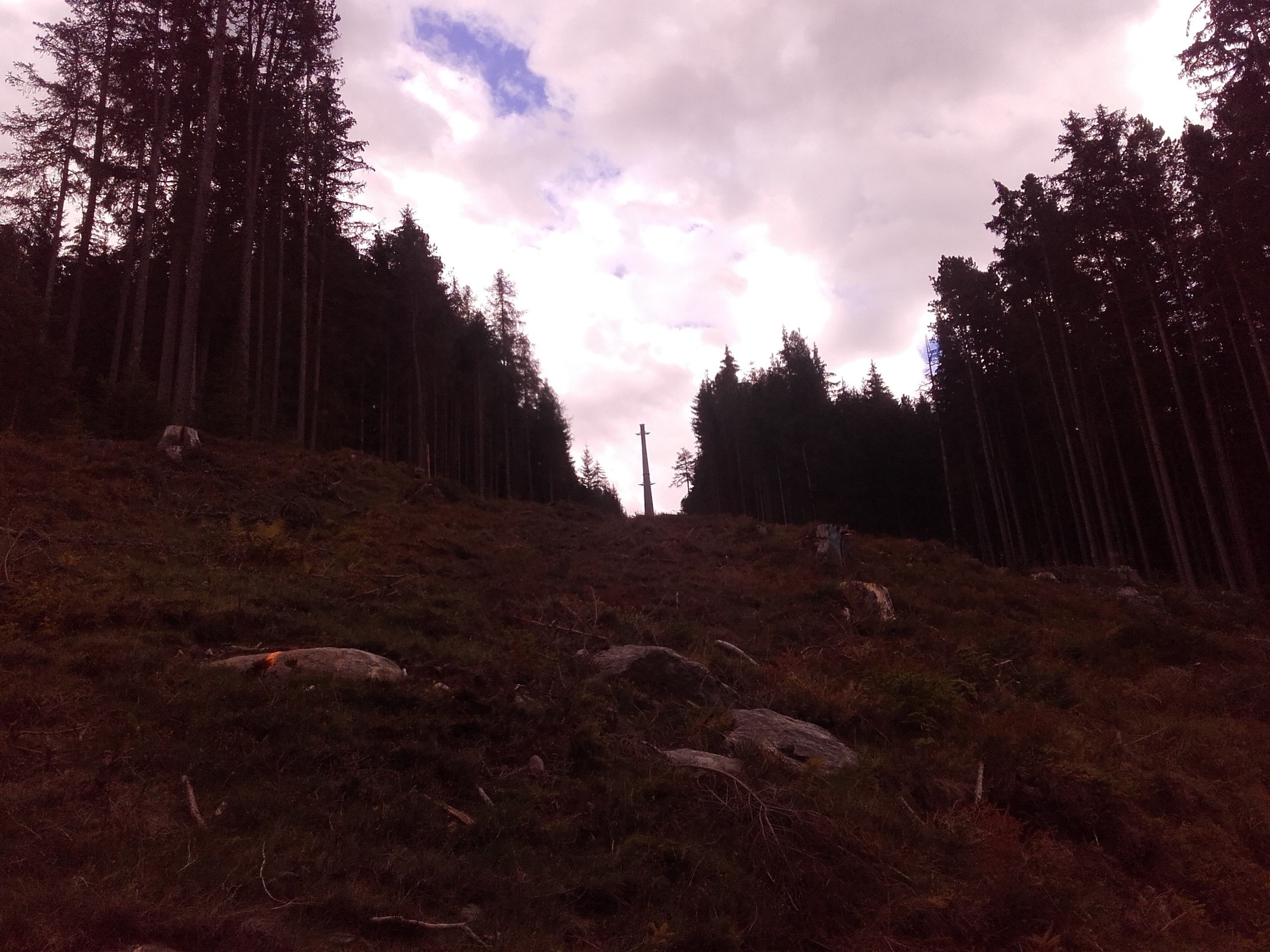20180923_170953.jpg