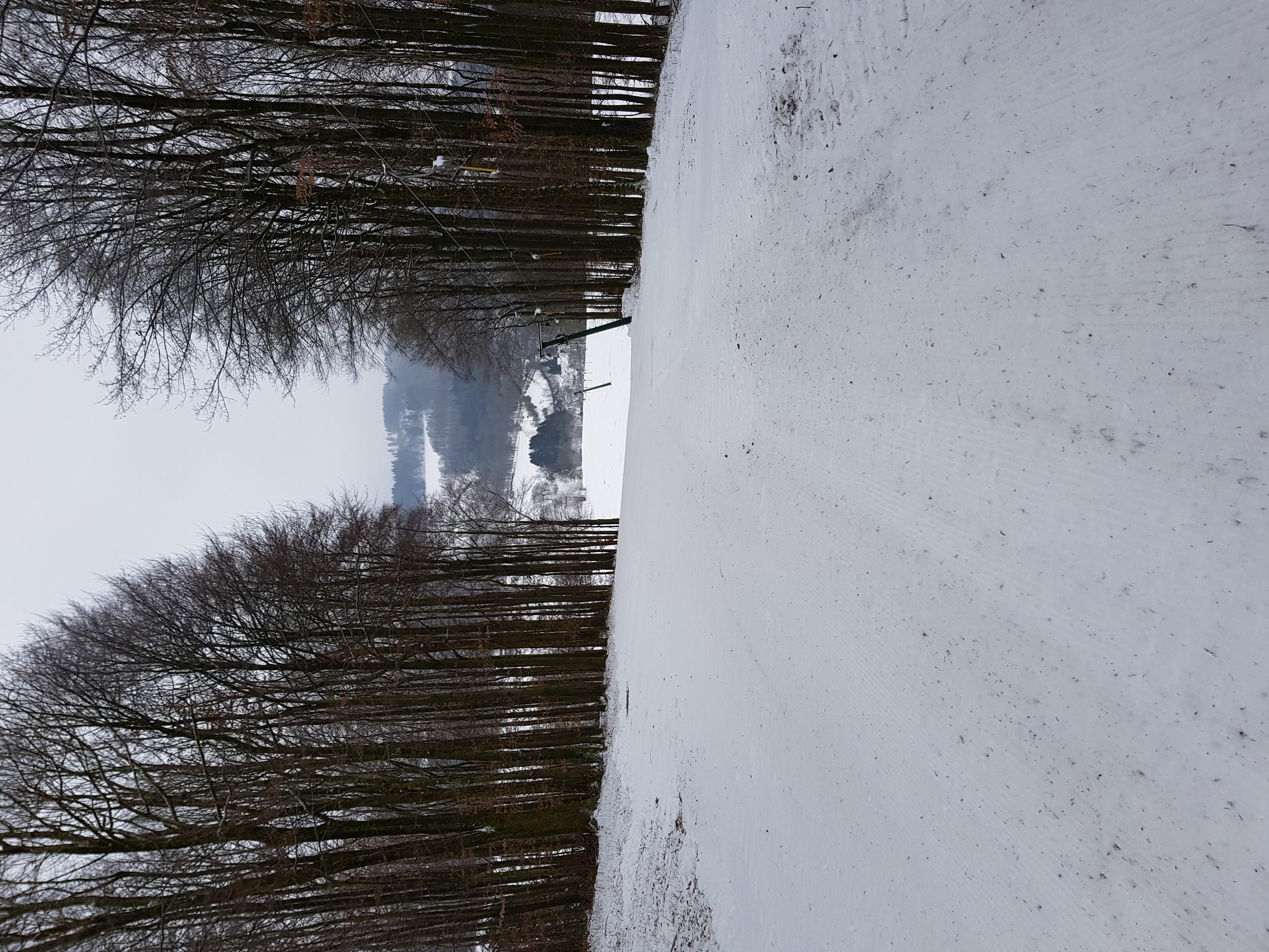 20190104_095617.jpg