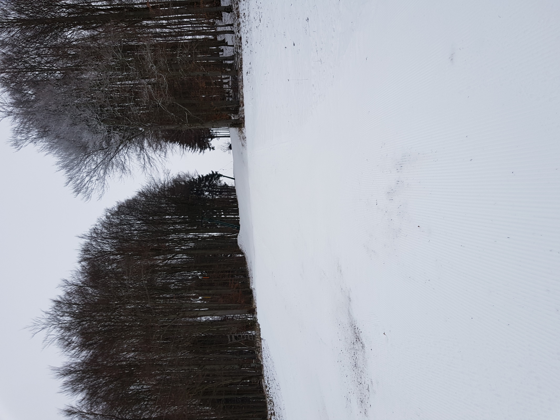 20190104_100948.jpg