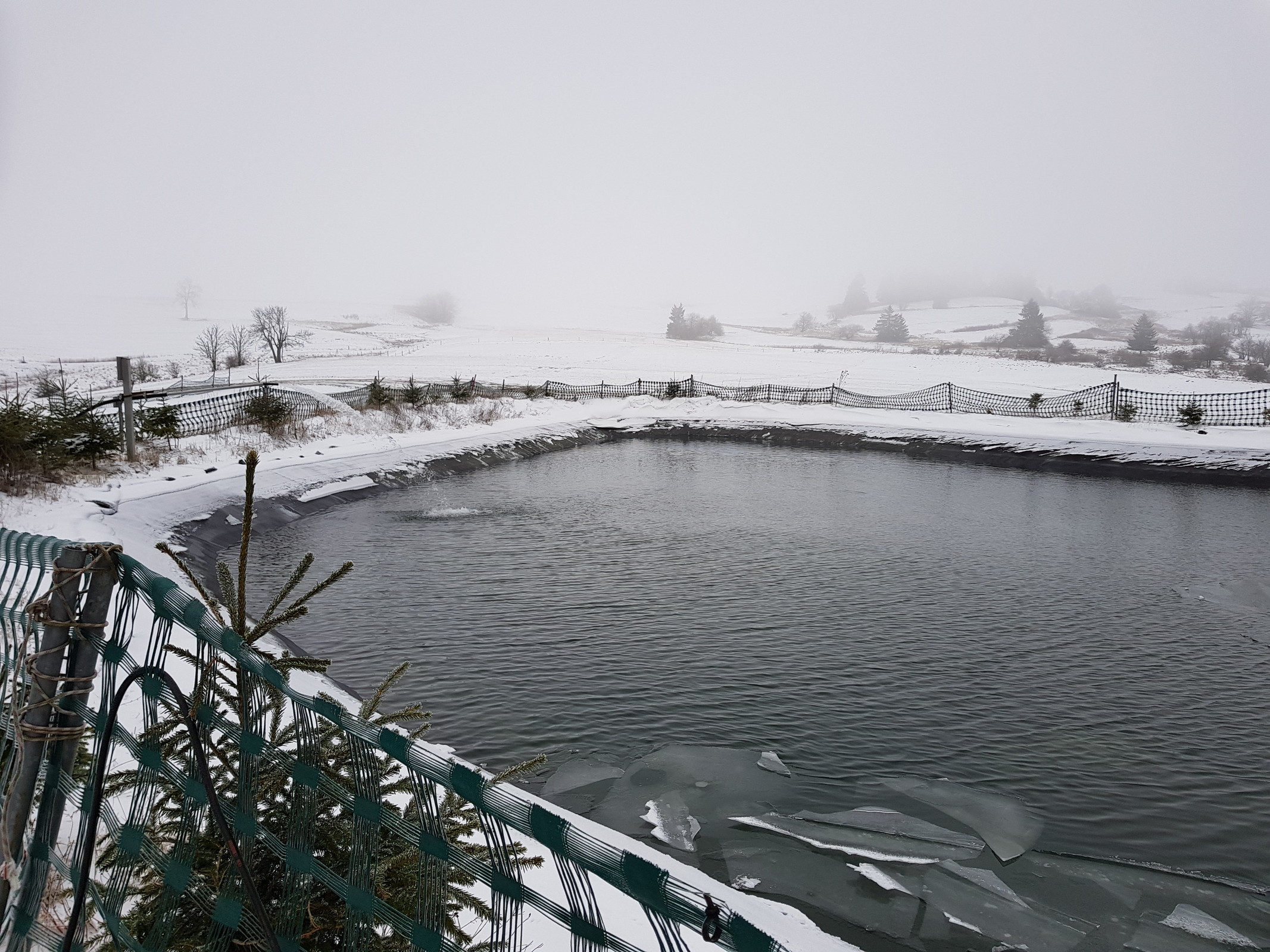 20190104_102623.jpg
