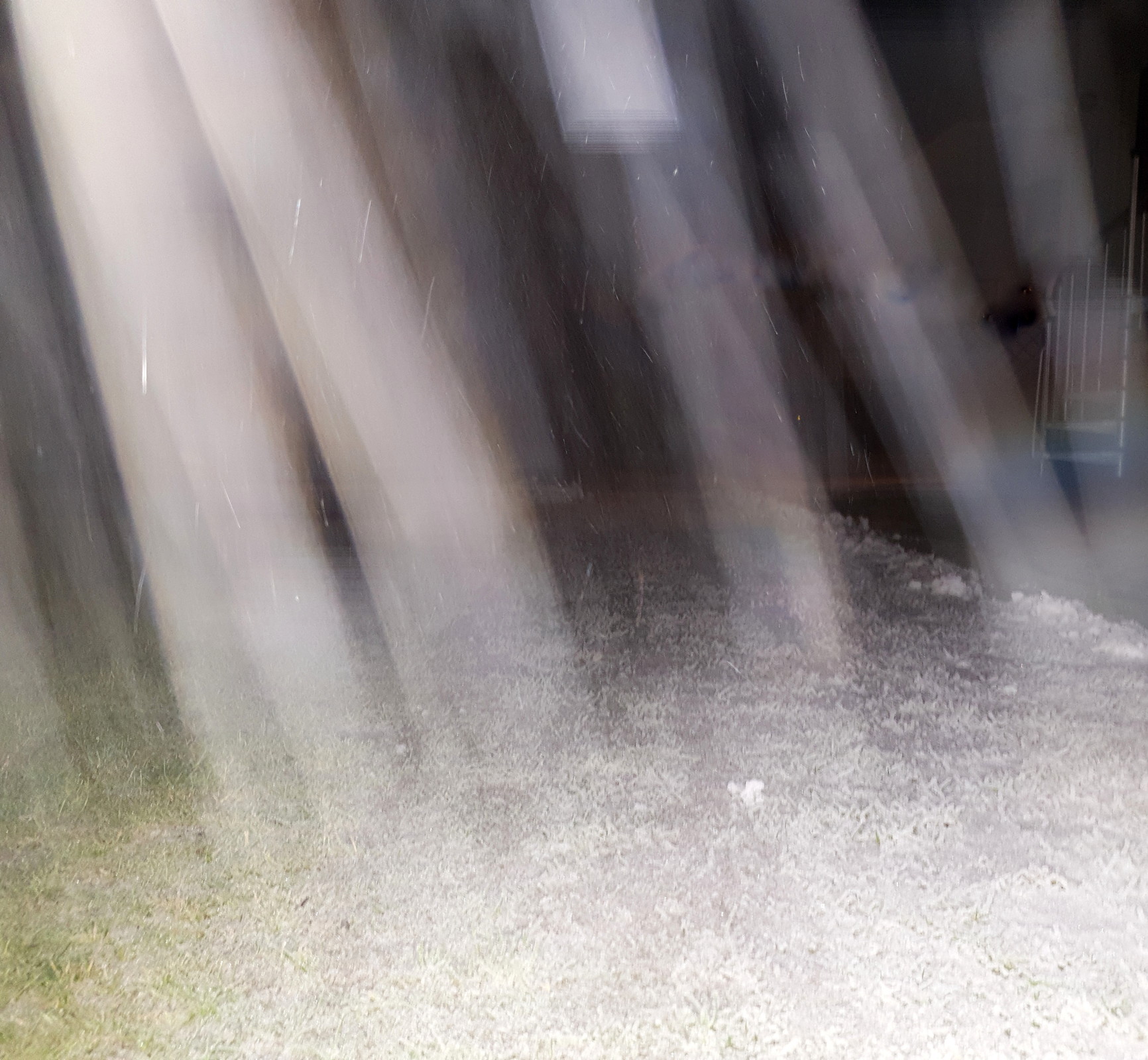 20190118_182738.jpg