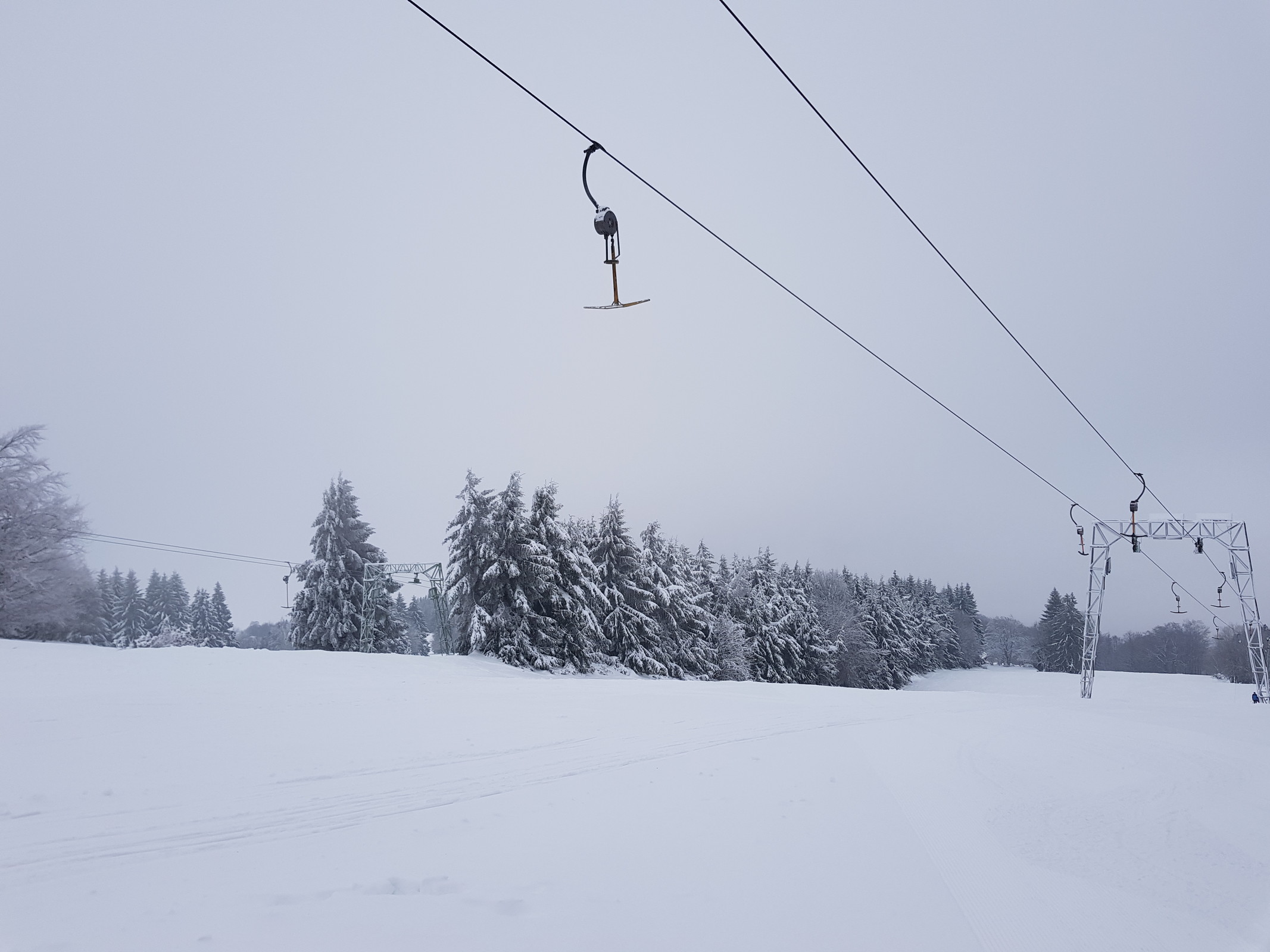 20190201_095013.jpg