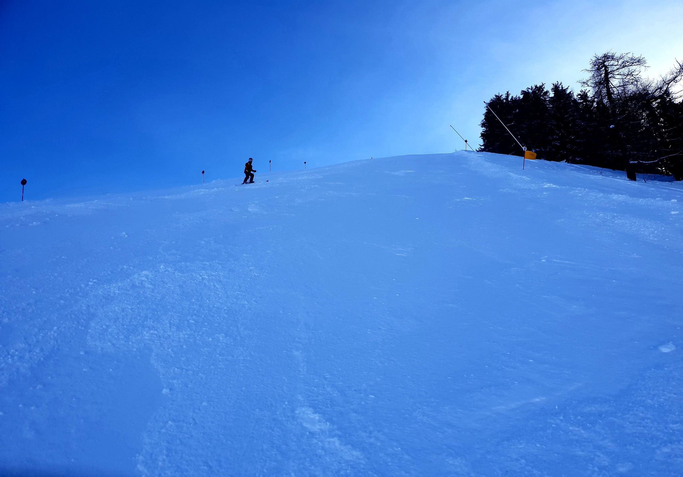 20190208_171341.jpg