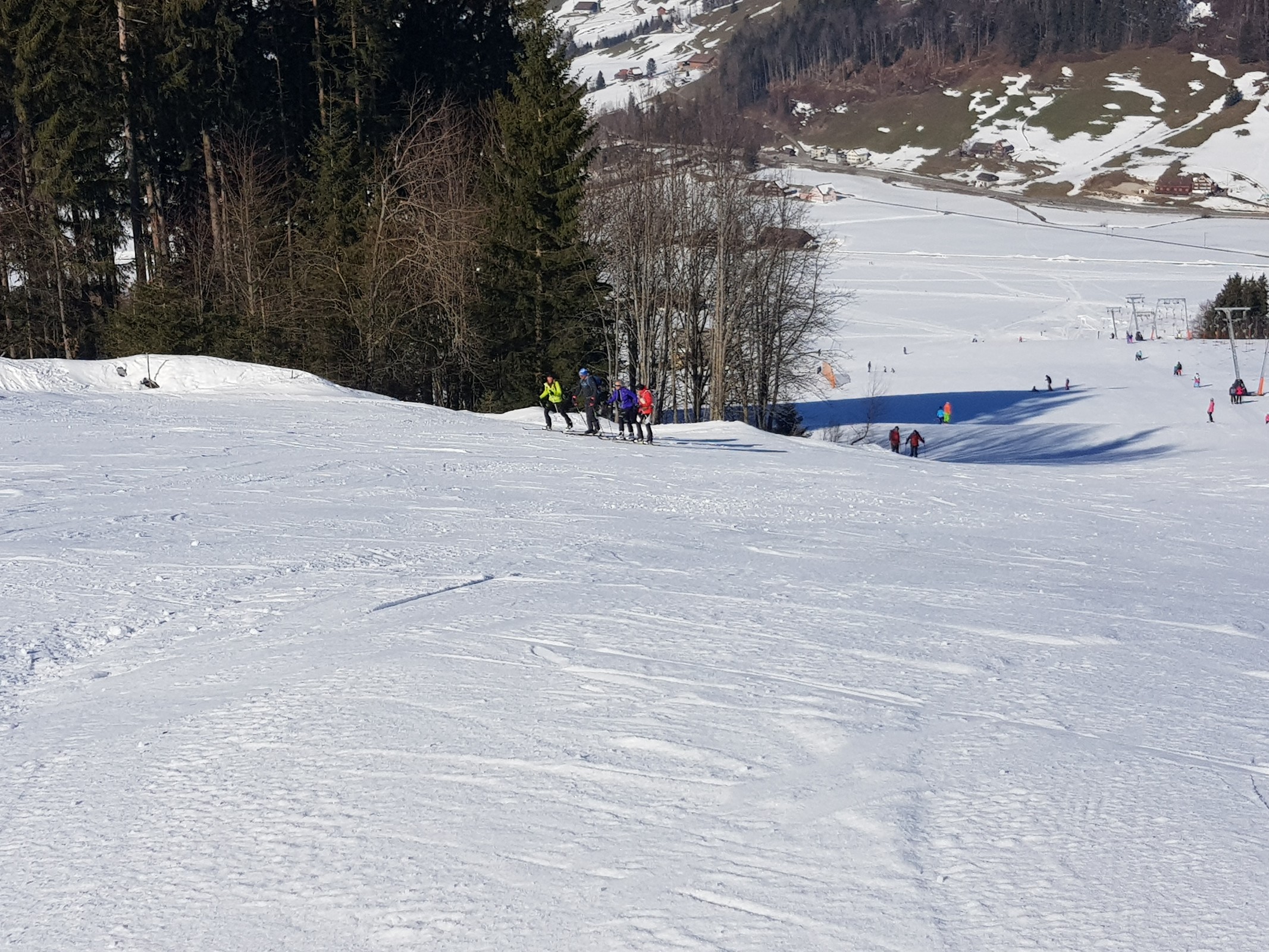 20190224_103552.jpg