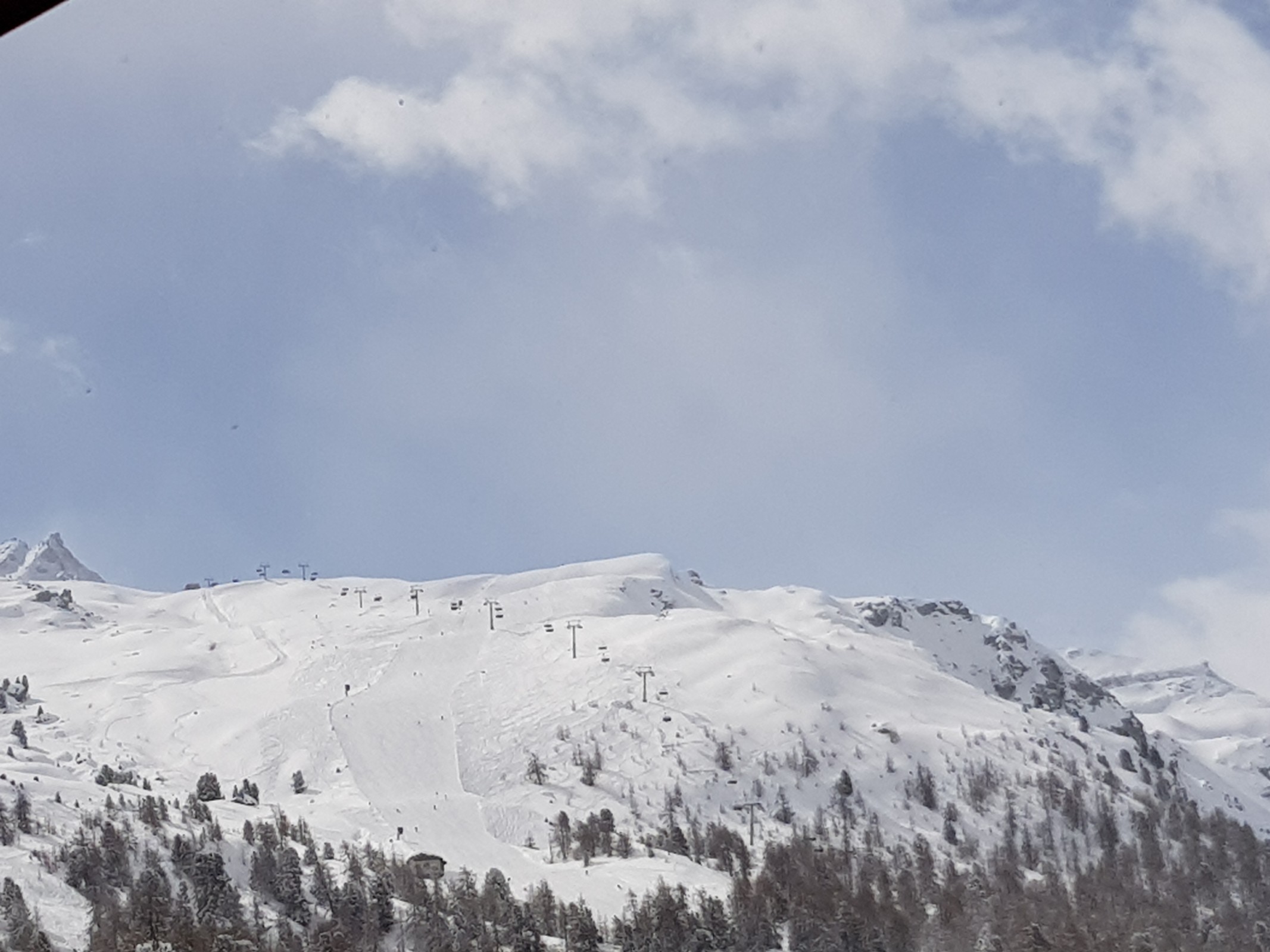 20190318_112359.jpg