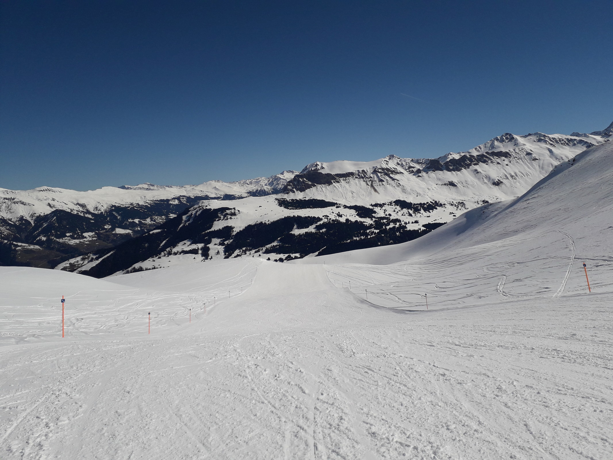 20190323_112555.jpg