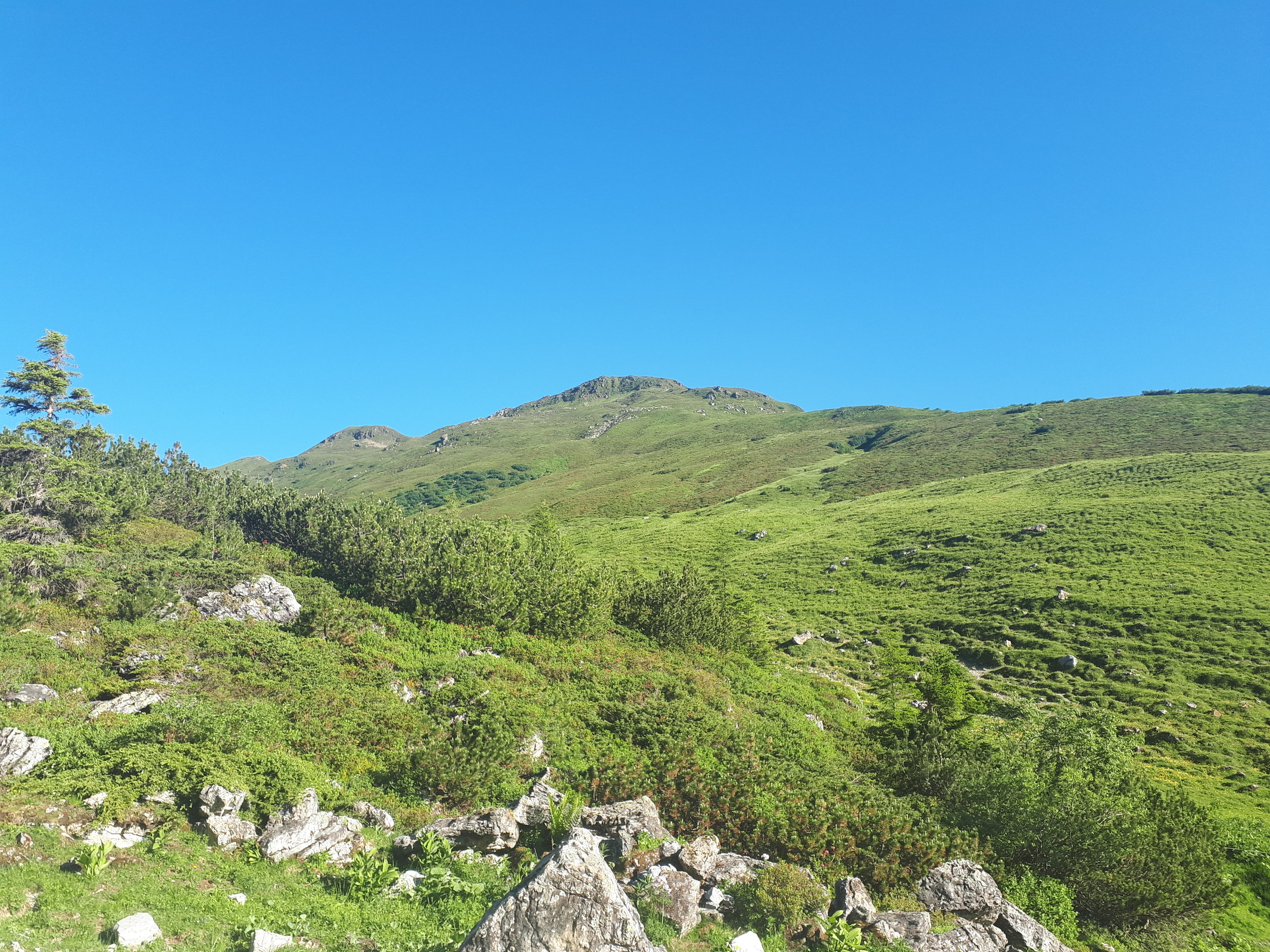 20190630_080607.jpg