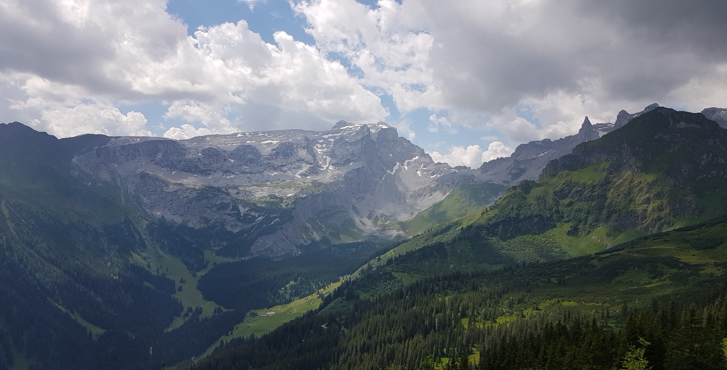 20200723_214550.jpg