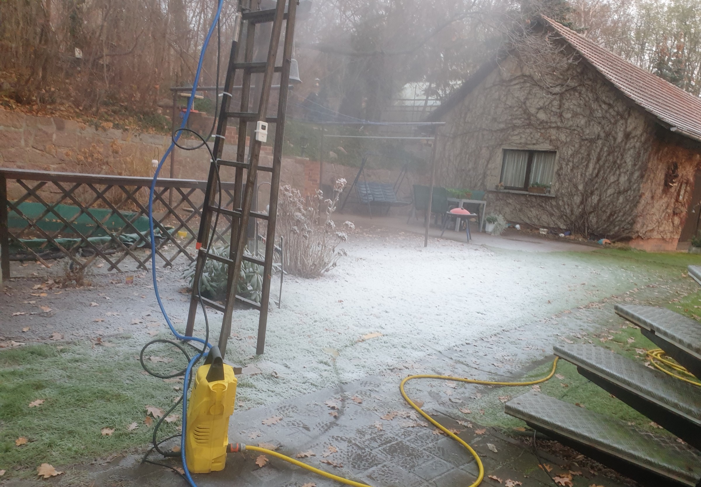 20201202_080725.jpg