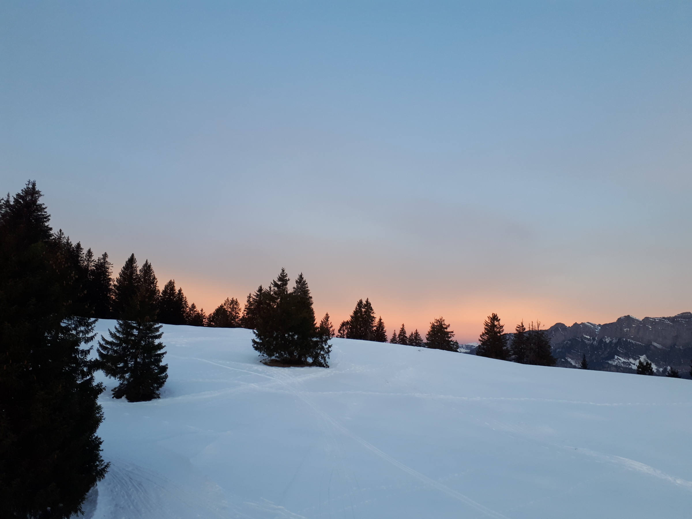 20201221_080759.jpg