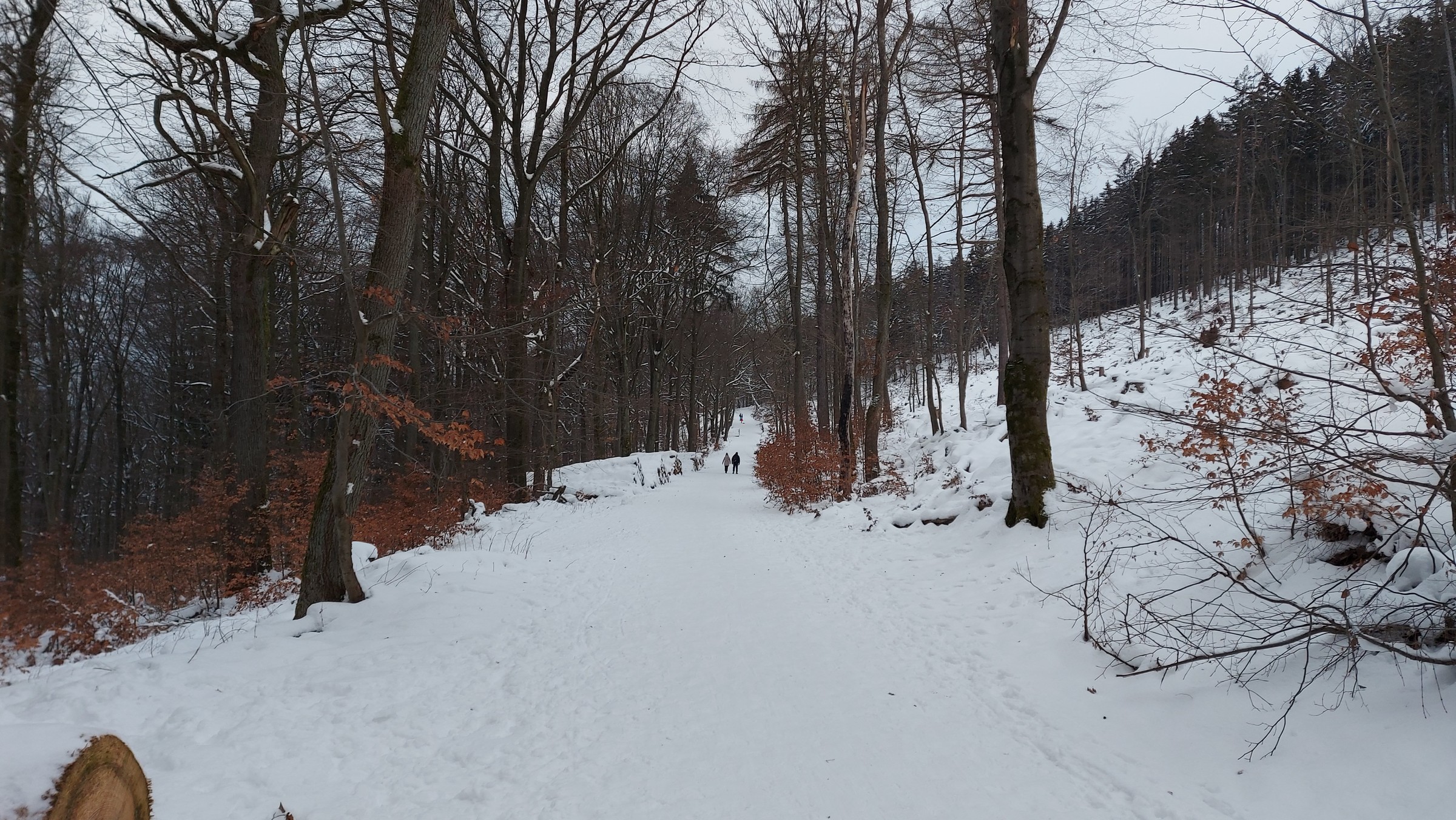 20210116_090803.jpg