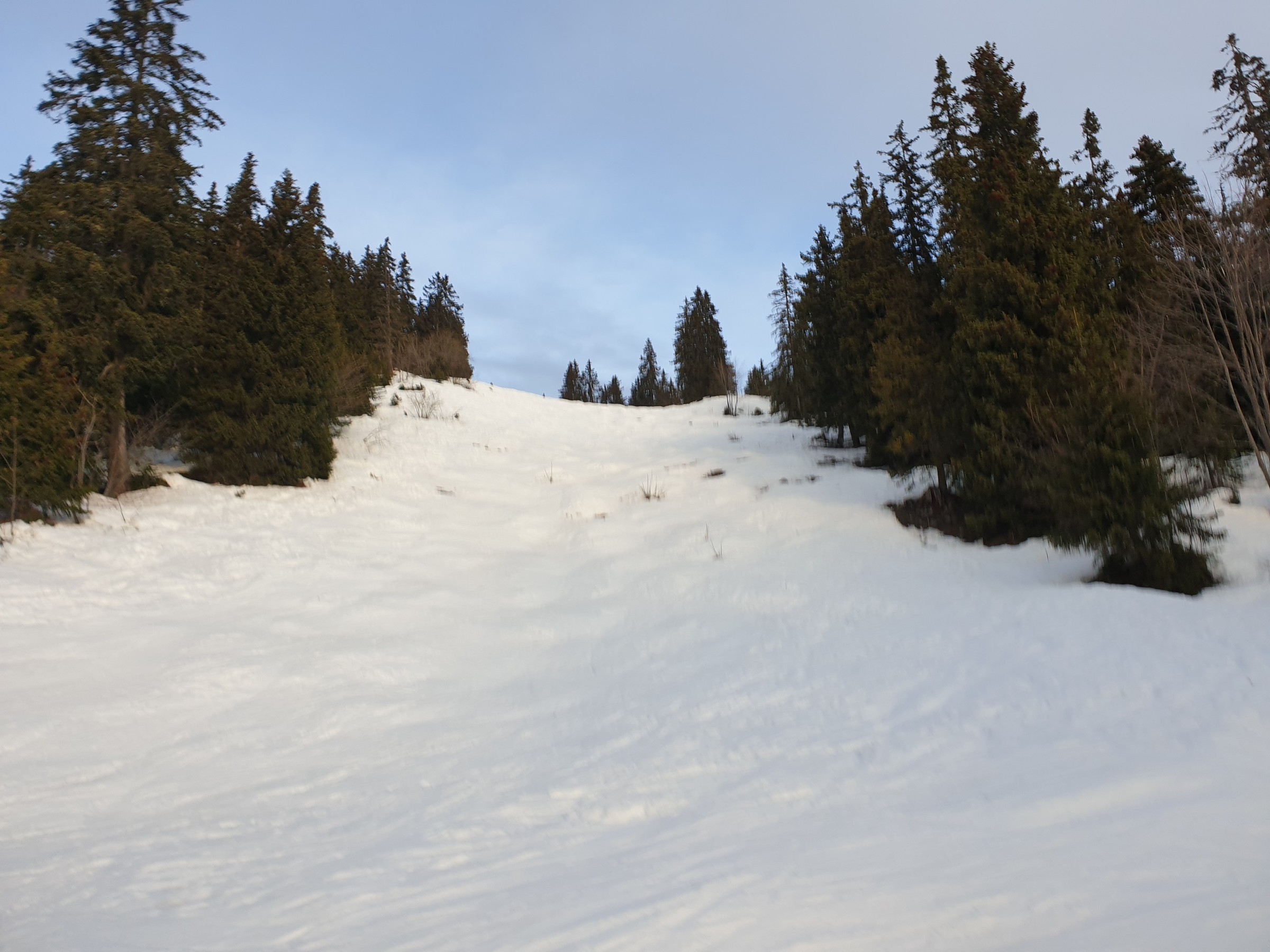 20220102_090834.jpg