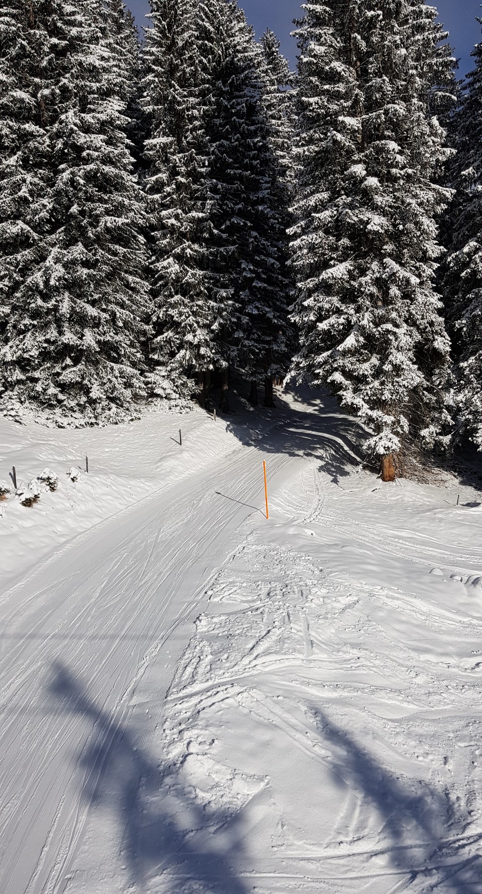 20220106_121723.jpg