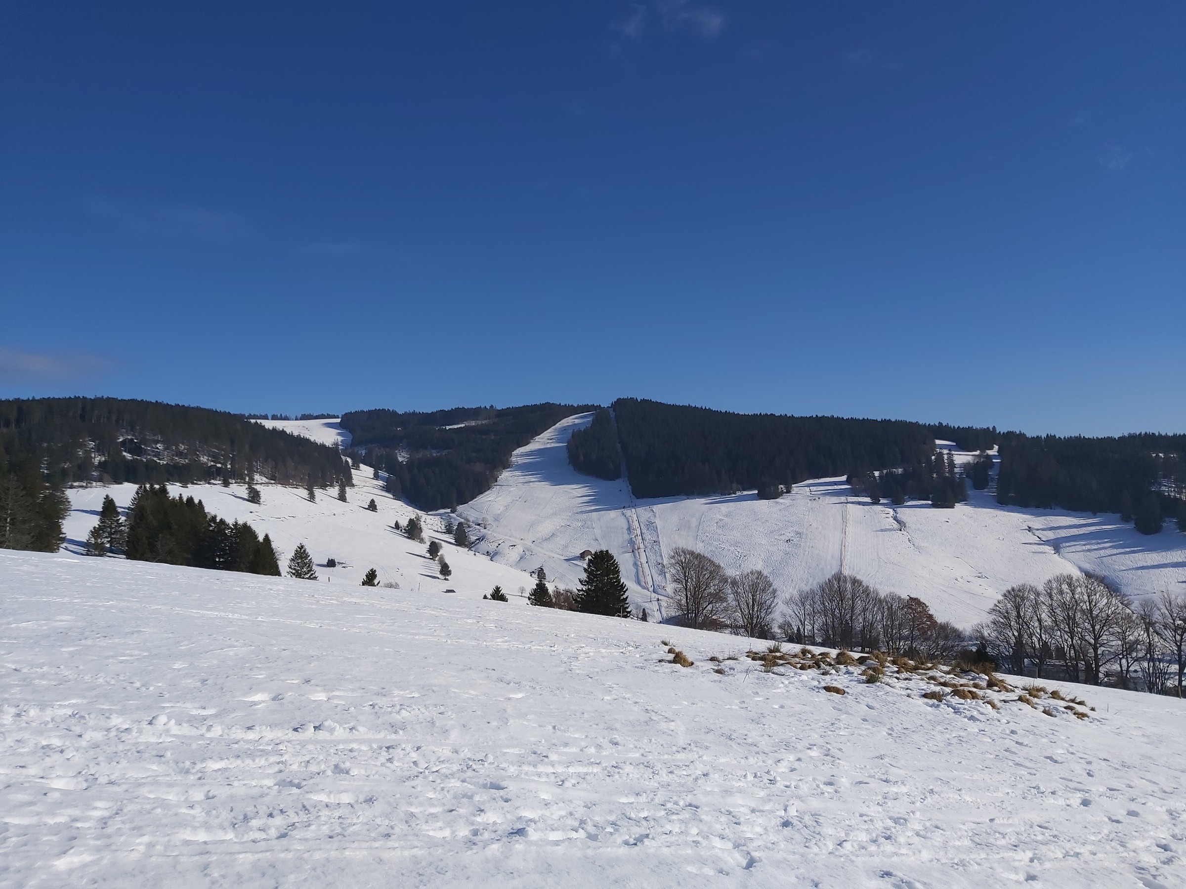 20220116_121801.jpg