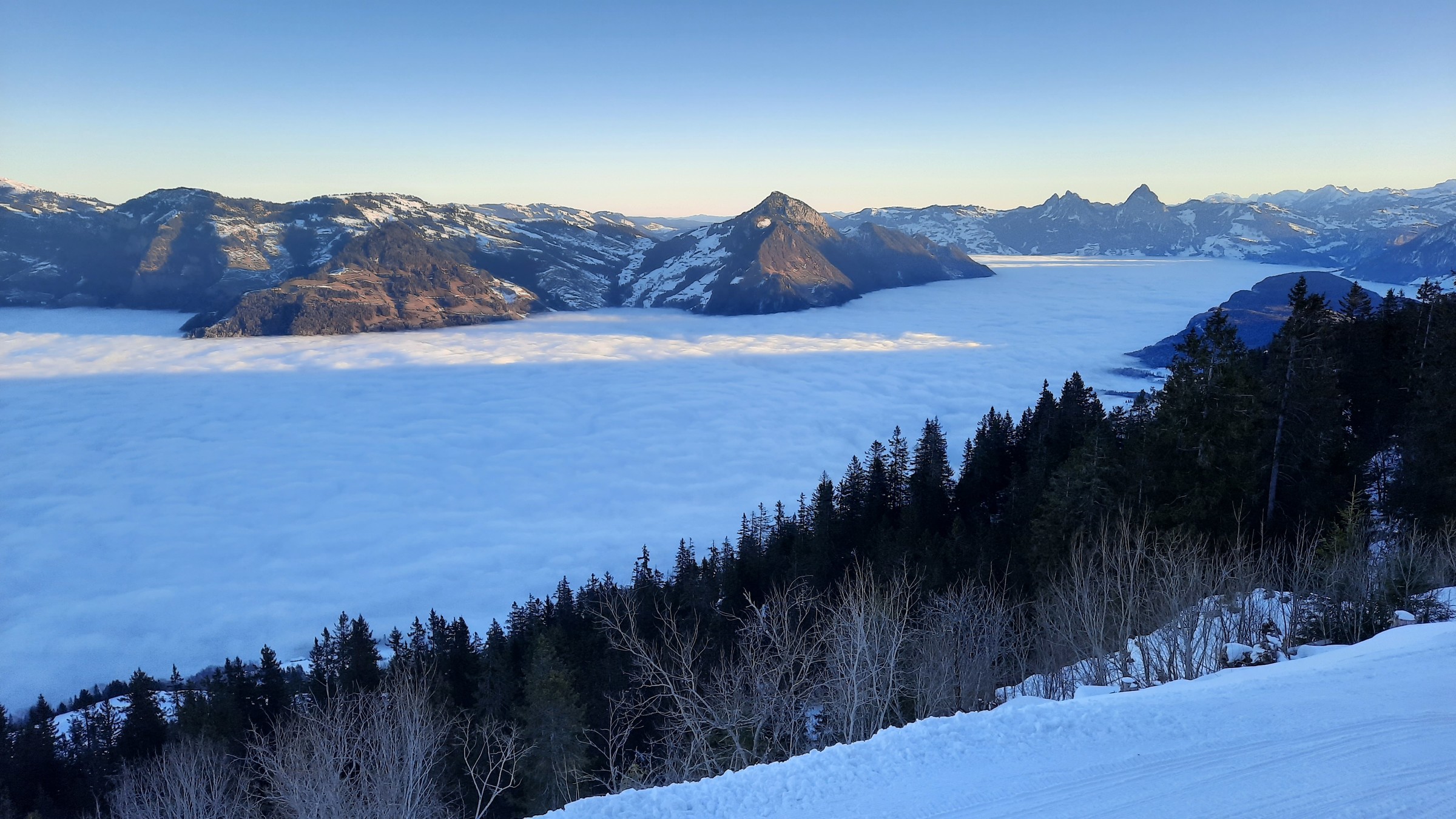 20220125_083920.jpg