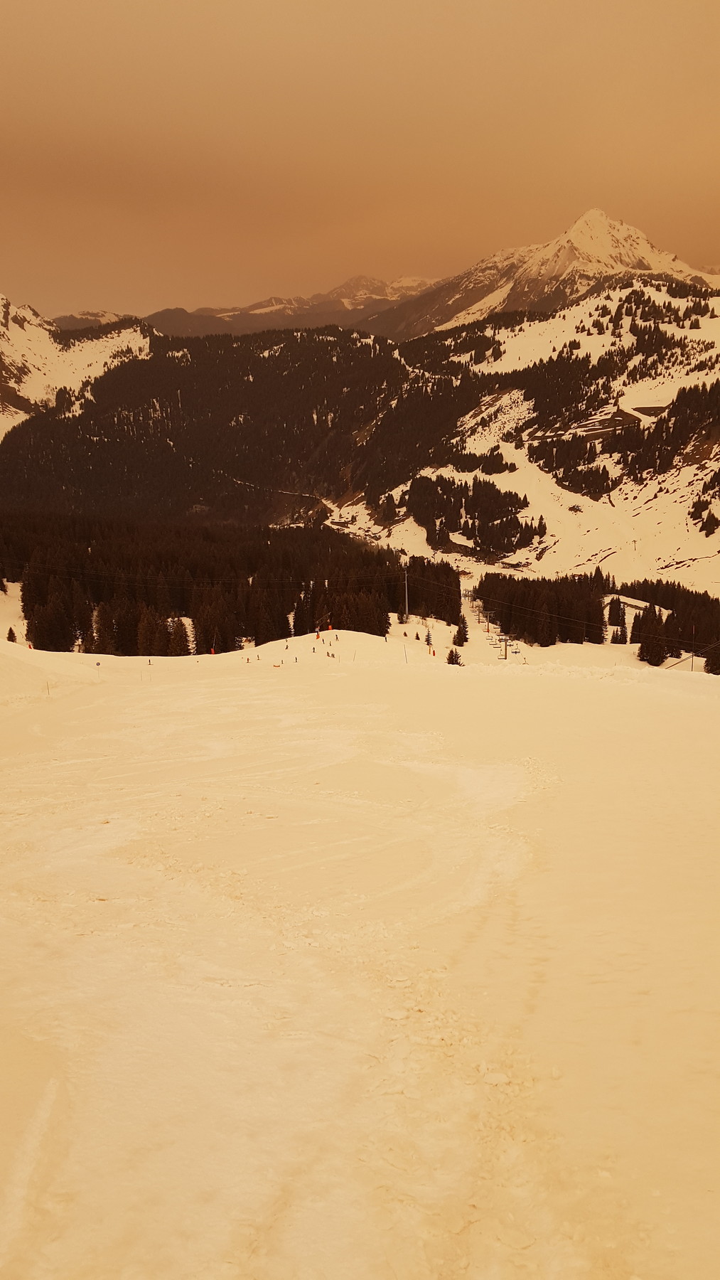 20220315_093537.jpg