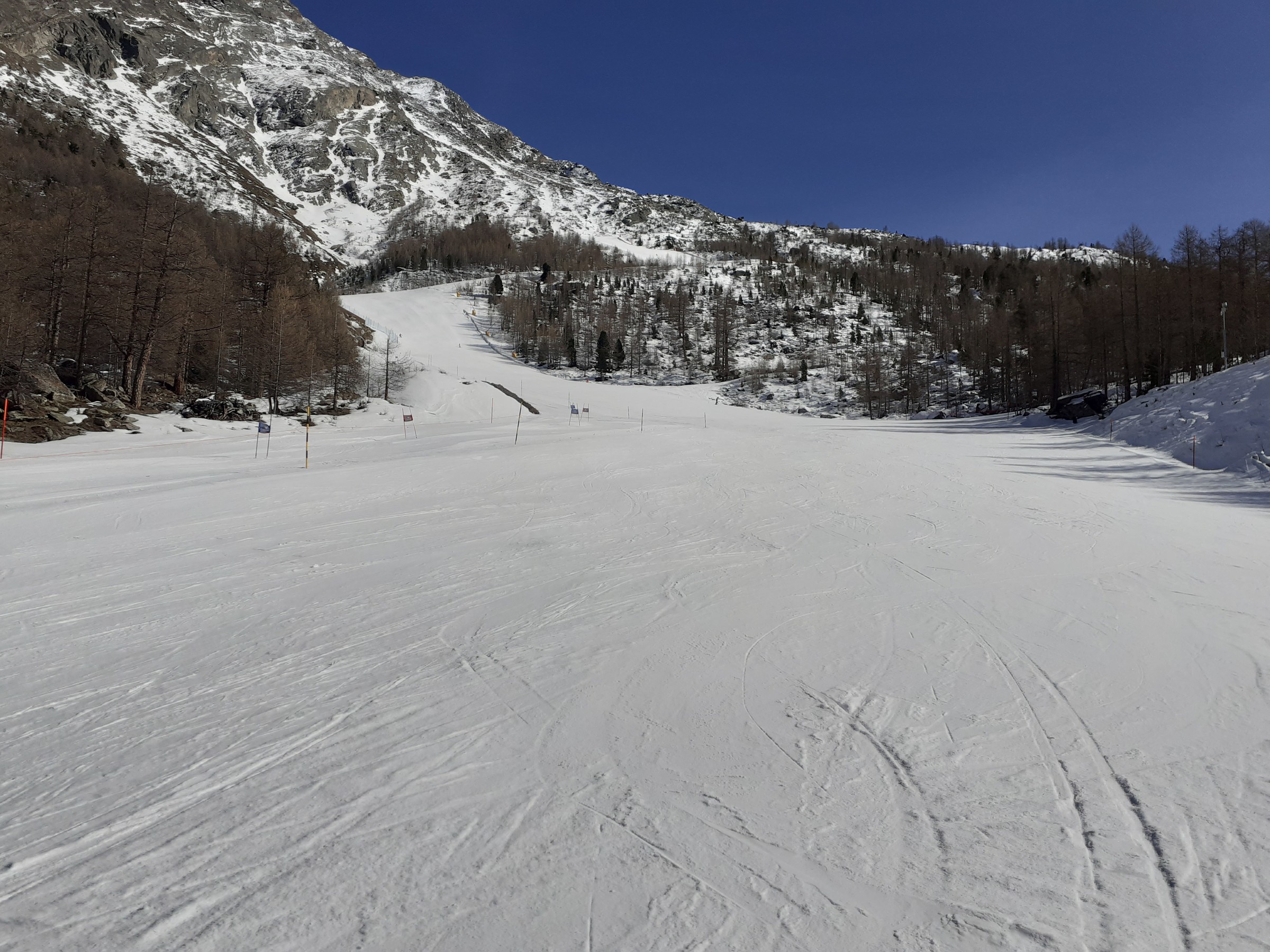 20230306_141203.jpg