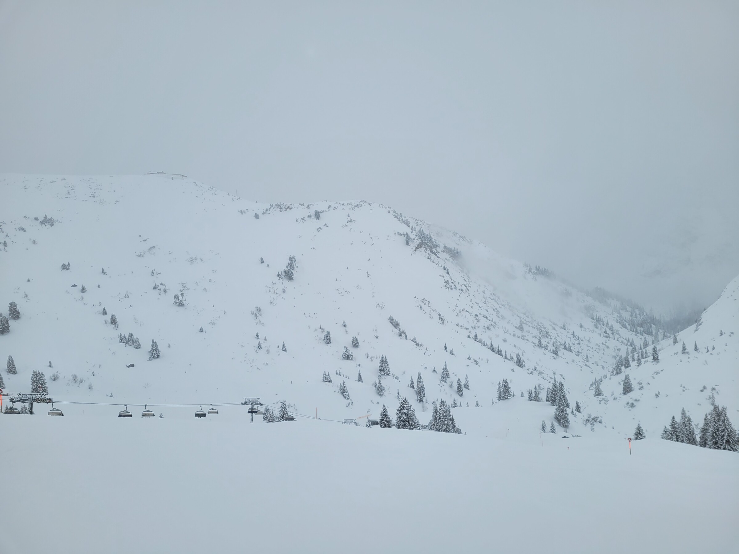 20240107_111147.jpg
