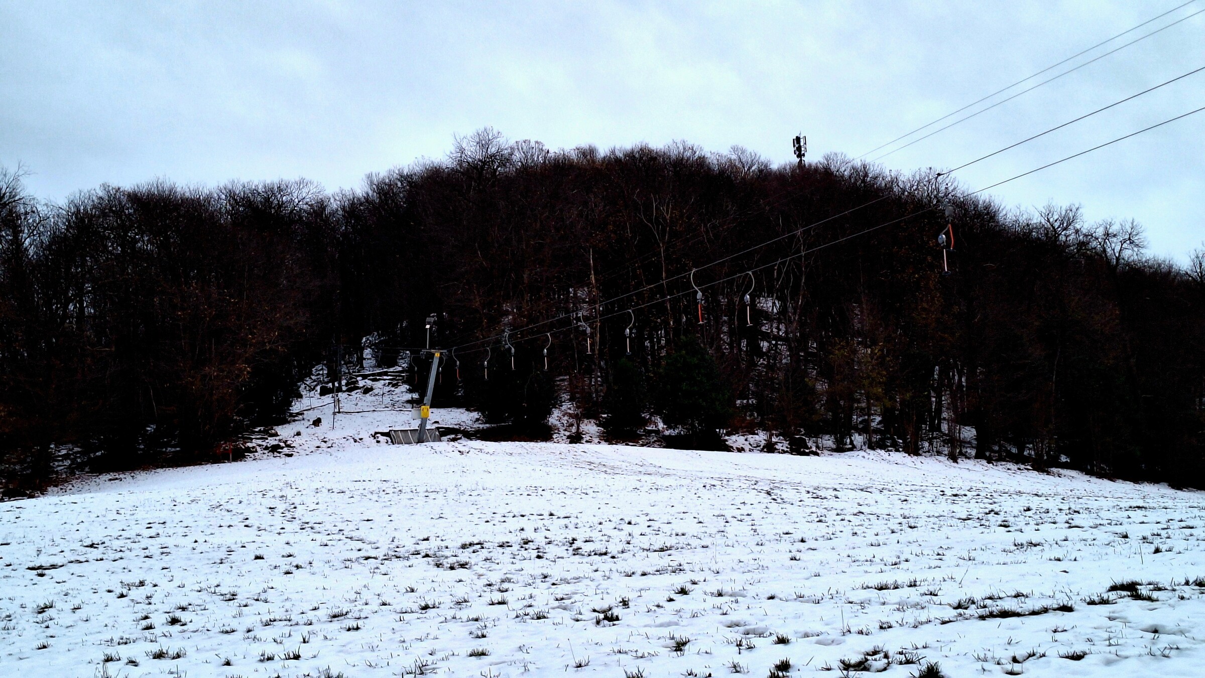 20241127_095951.jpg