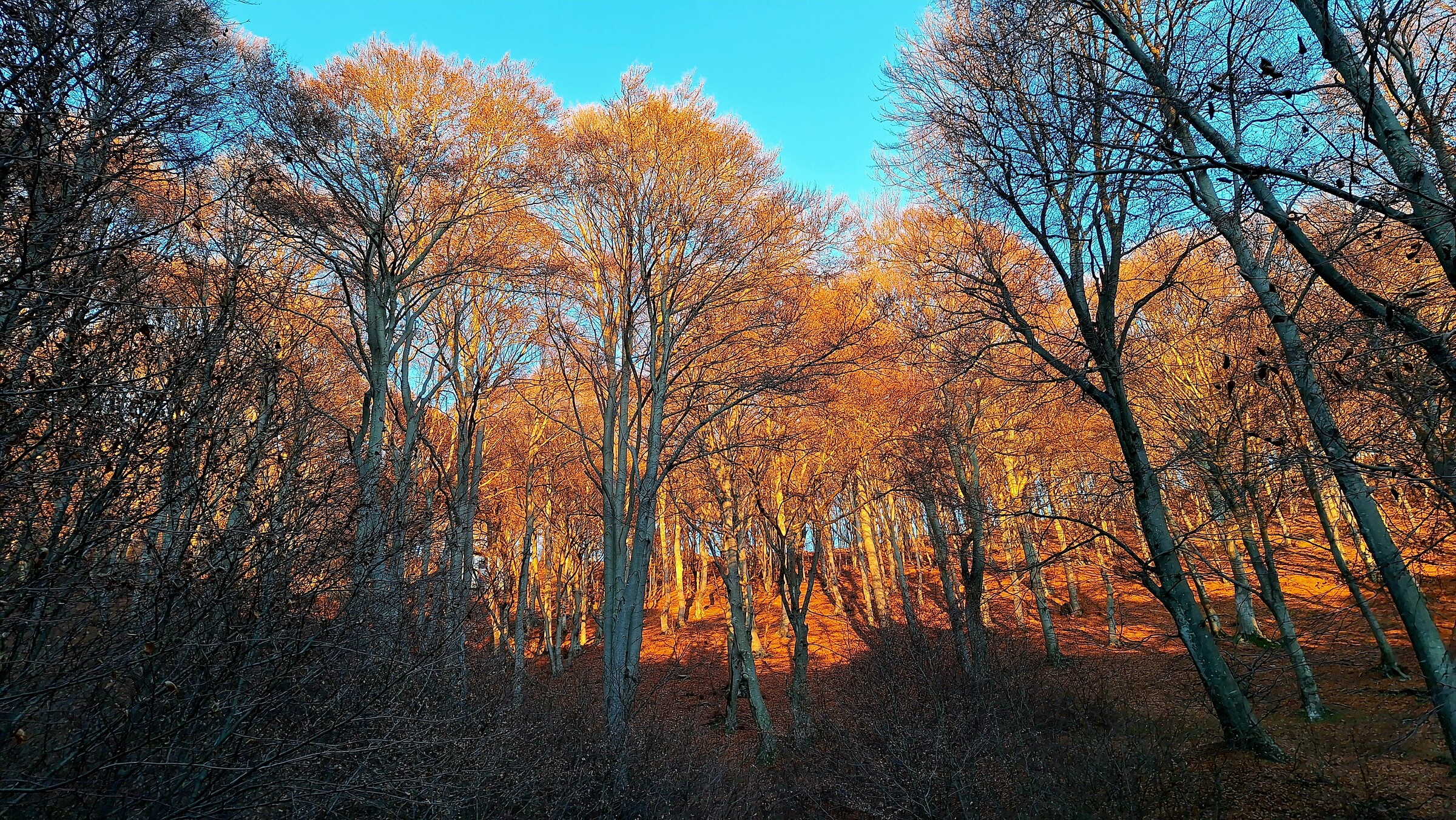 20241207_080317.jpg