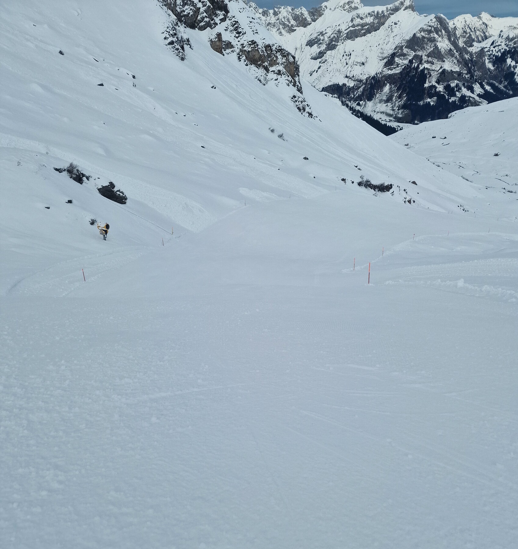 20241207_092314.jpg