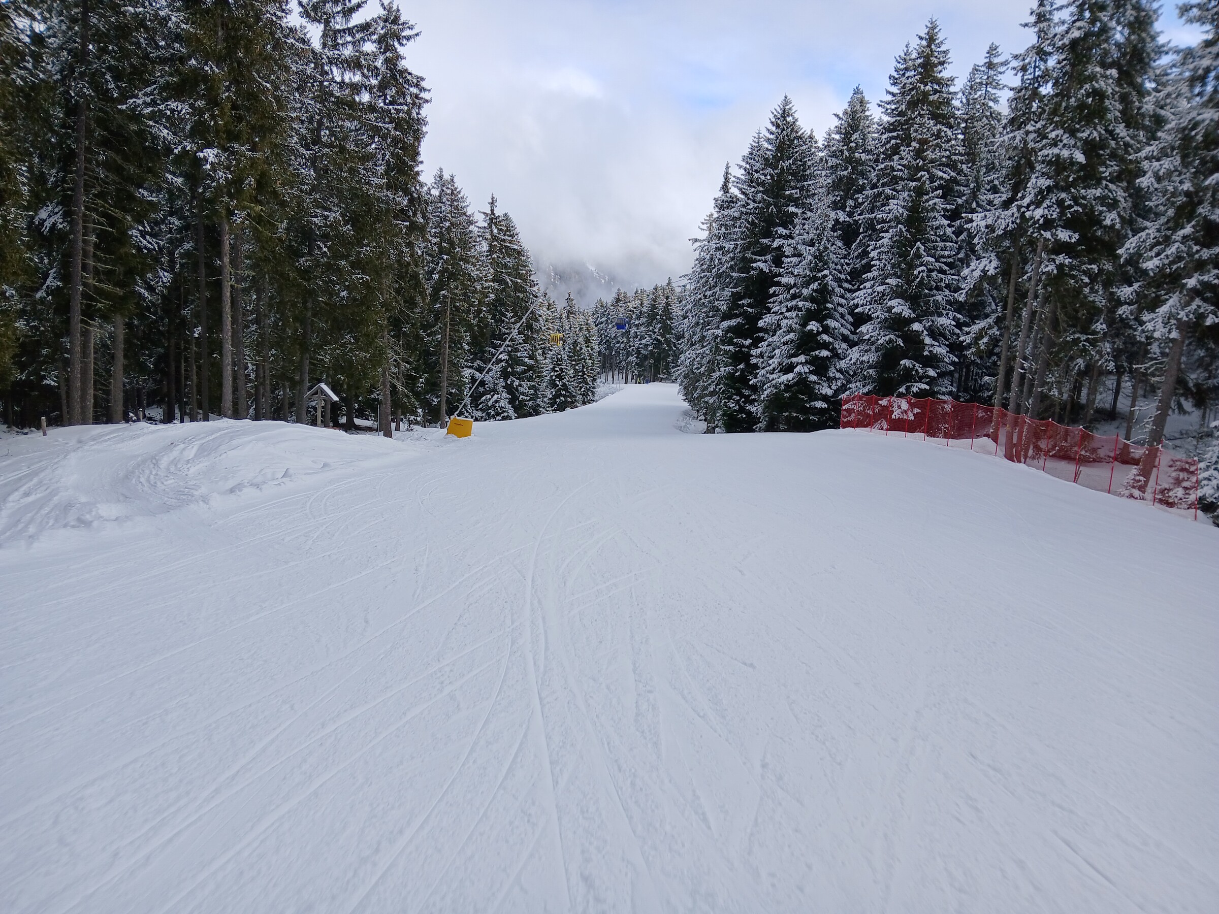20250109_125353.jpg