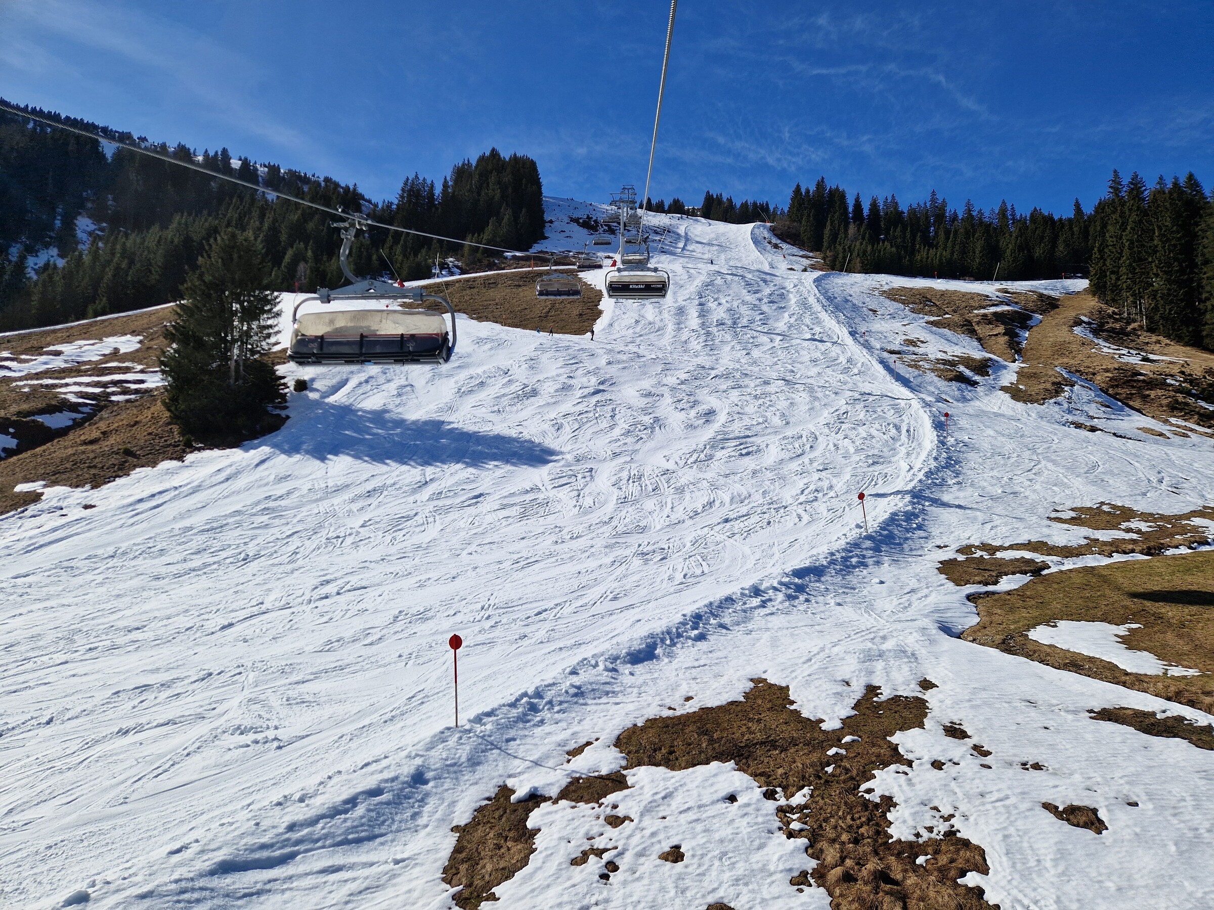20250308_140357.jpg