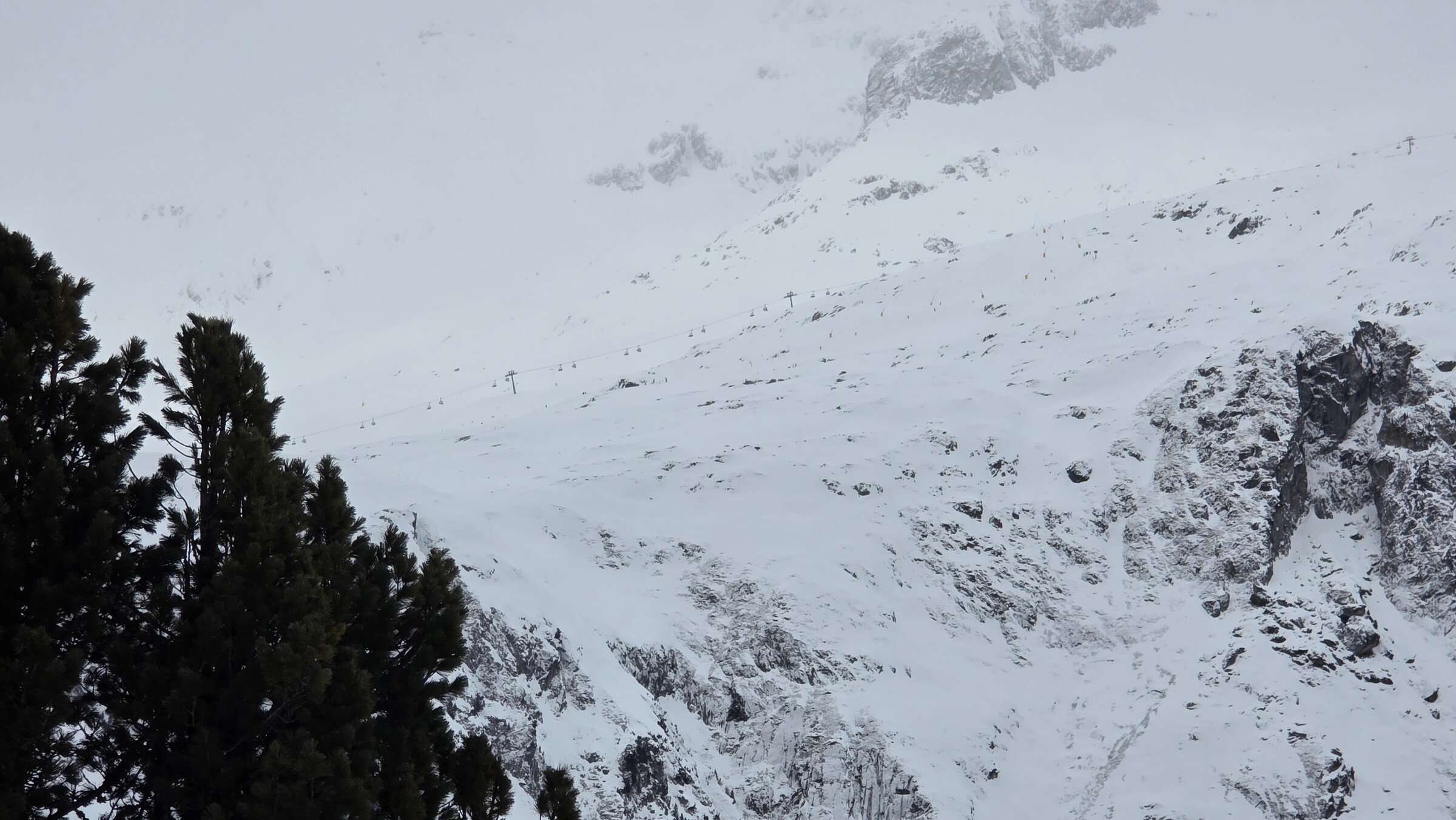 20260128_095947.jpg