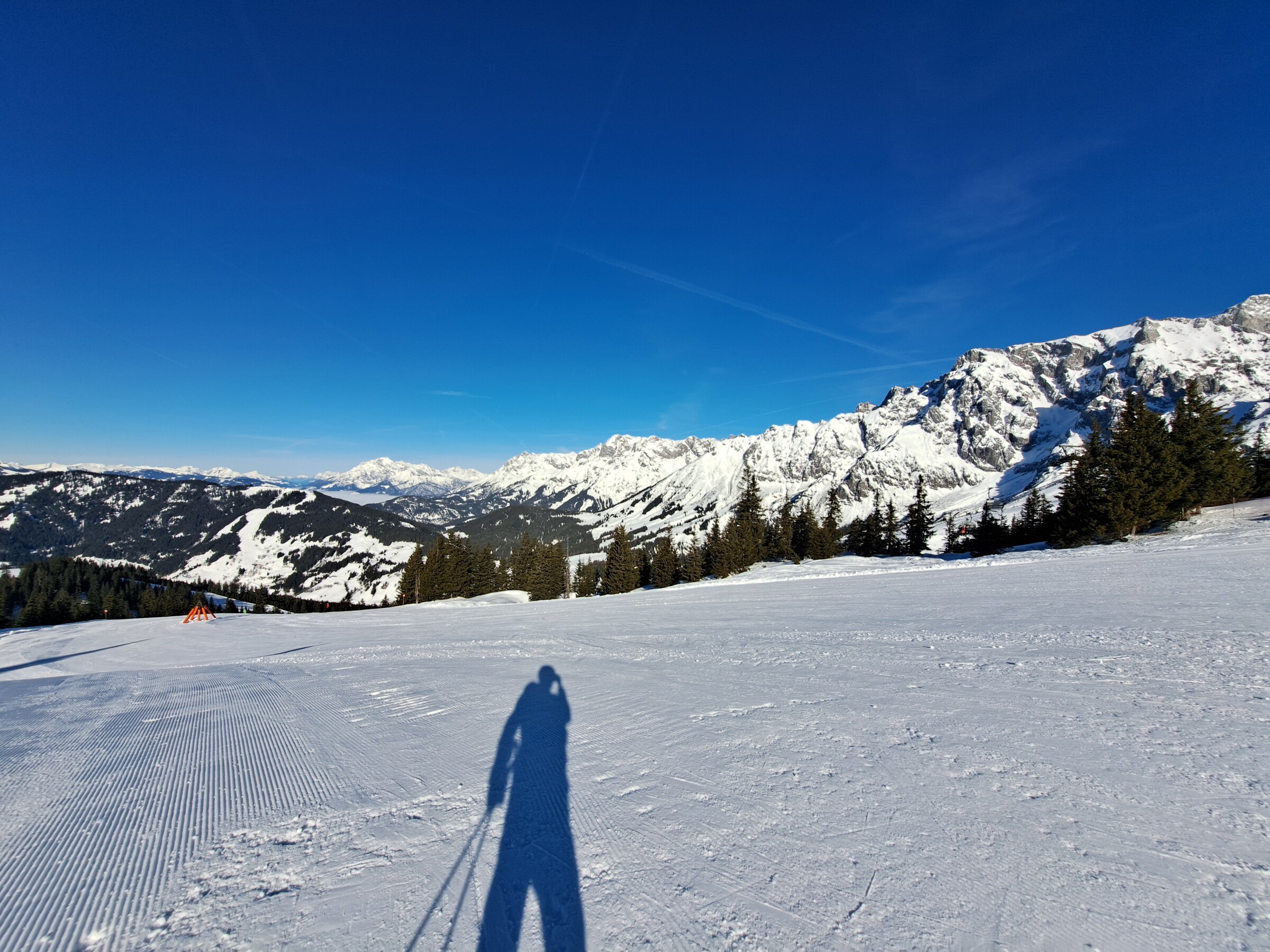 20260226_092113.jpg