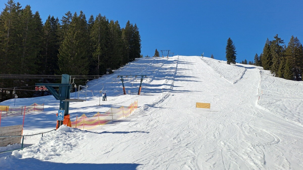 20260227_124331.jpg