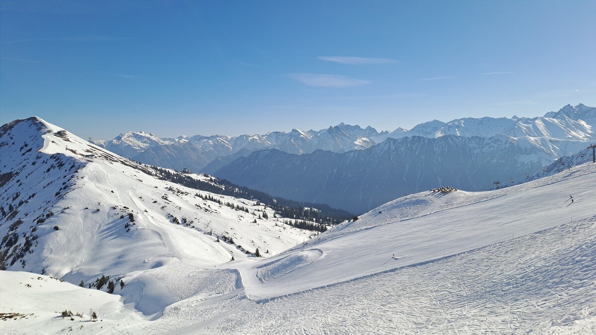 20260320_090845.jpg