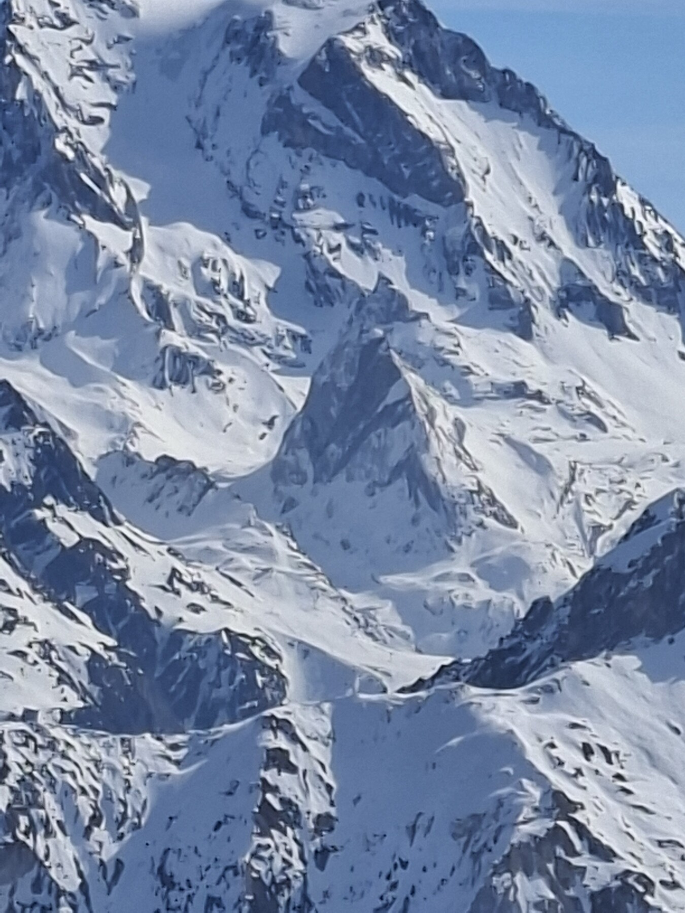 20260324_101415.jpg