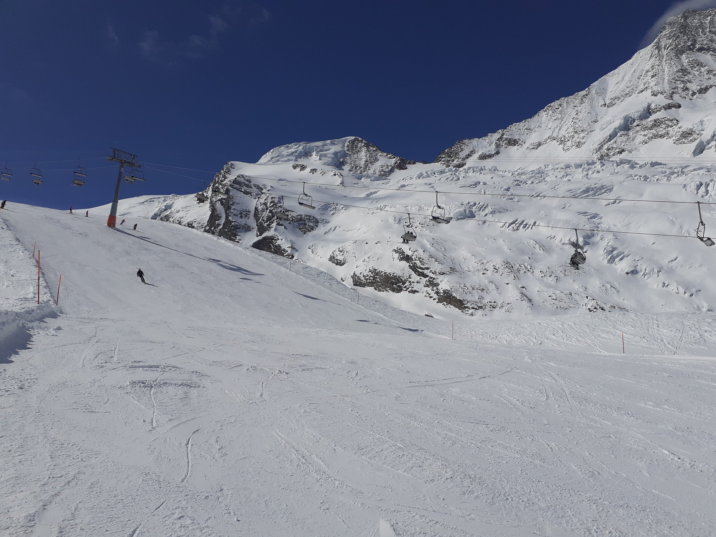 20260401_120940.jpg