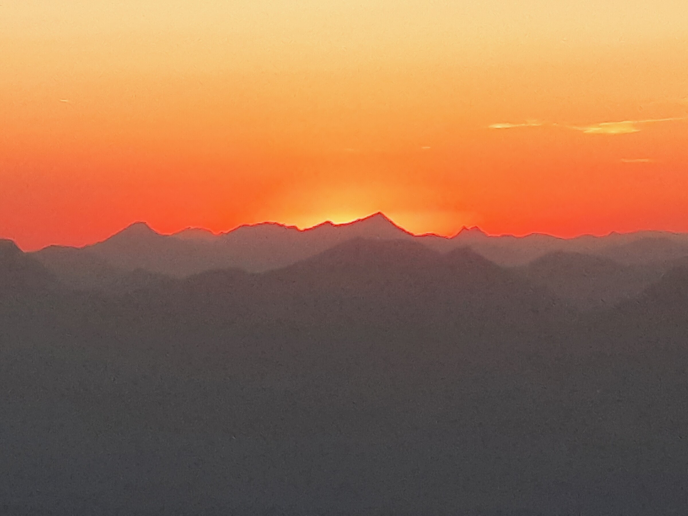 20260812_202947.jpg