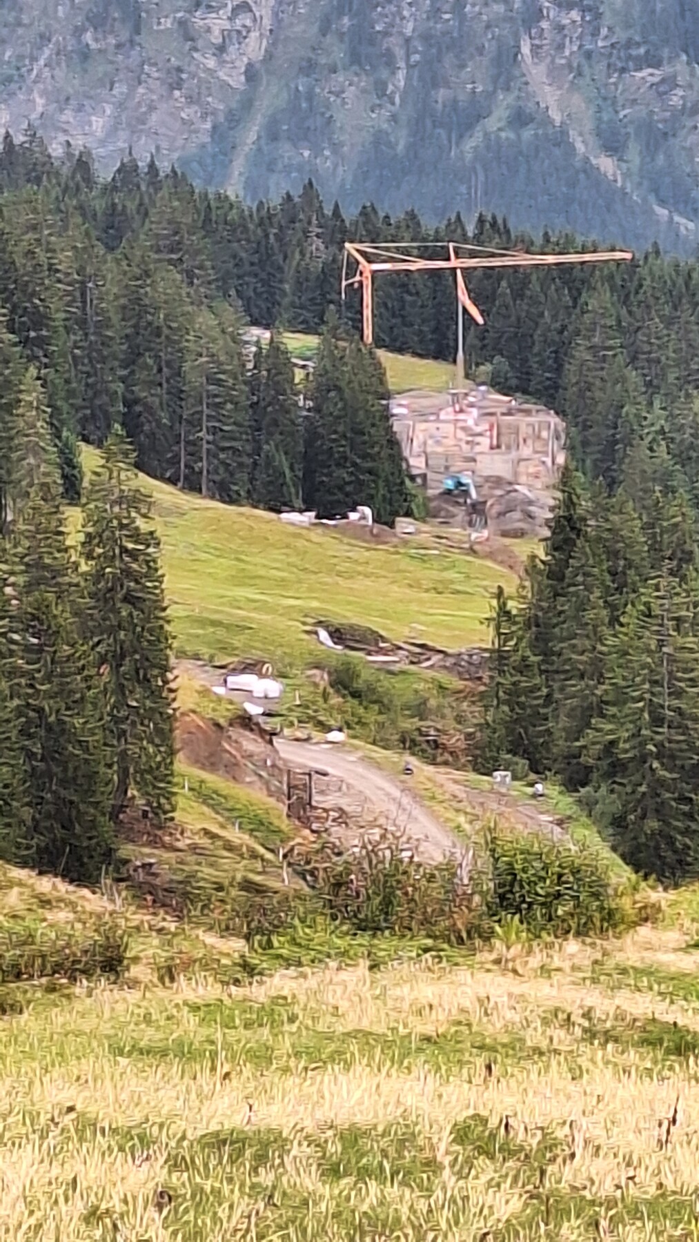 20260818_104250.jpg