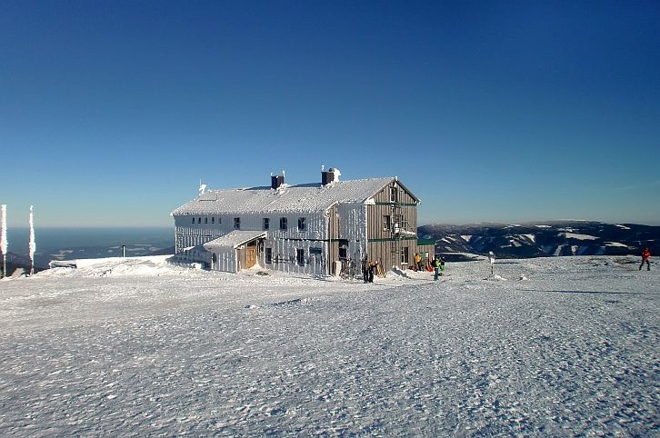 2135.jpg