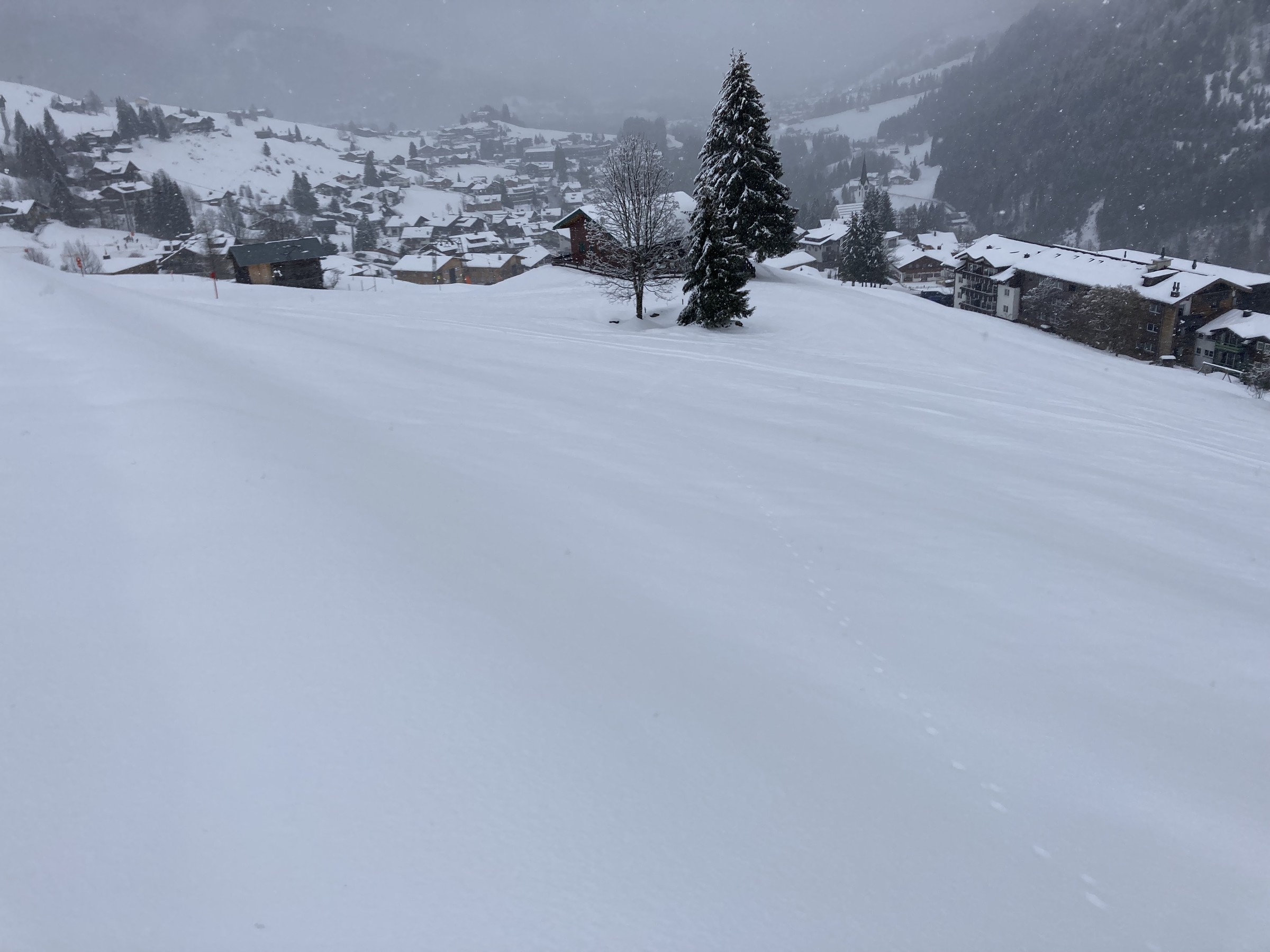 216BCA05-DEC4-4485-99D7-E3688FF64AB6.jpeg
