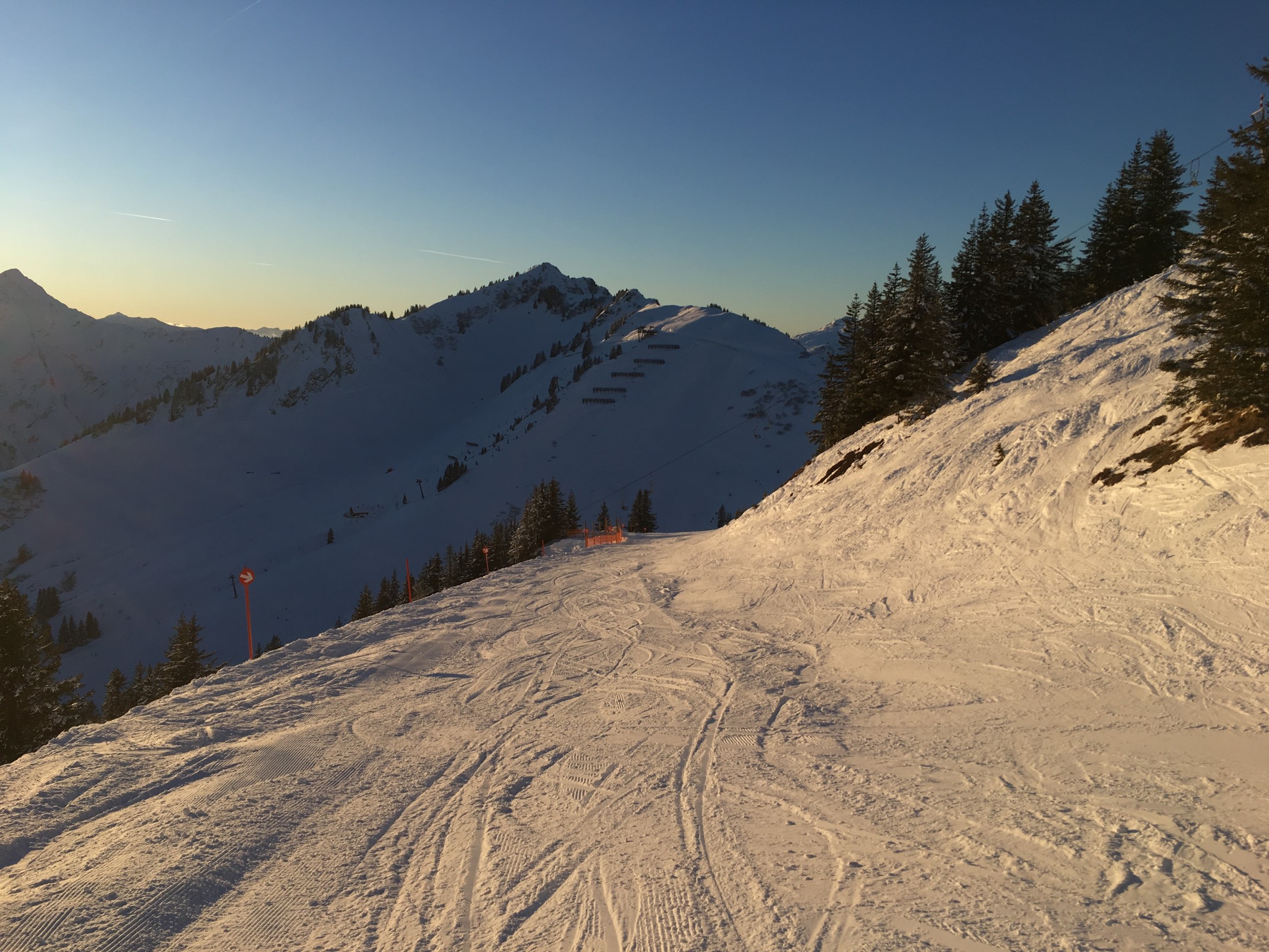 21E6938A-A97B-44D5-87C8-48BE216D475F.jpeg