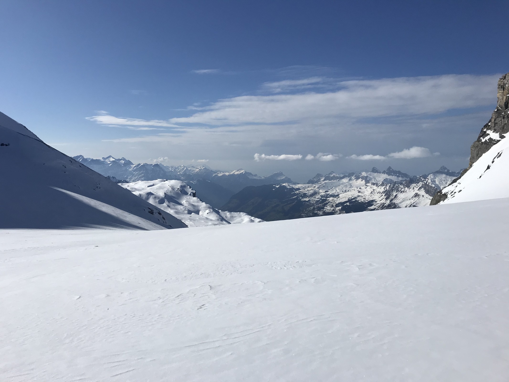 23587B2A-E892-4D76-B1E8-E52672ED388A.jpeg