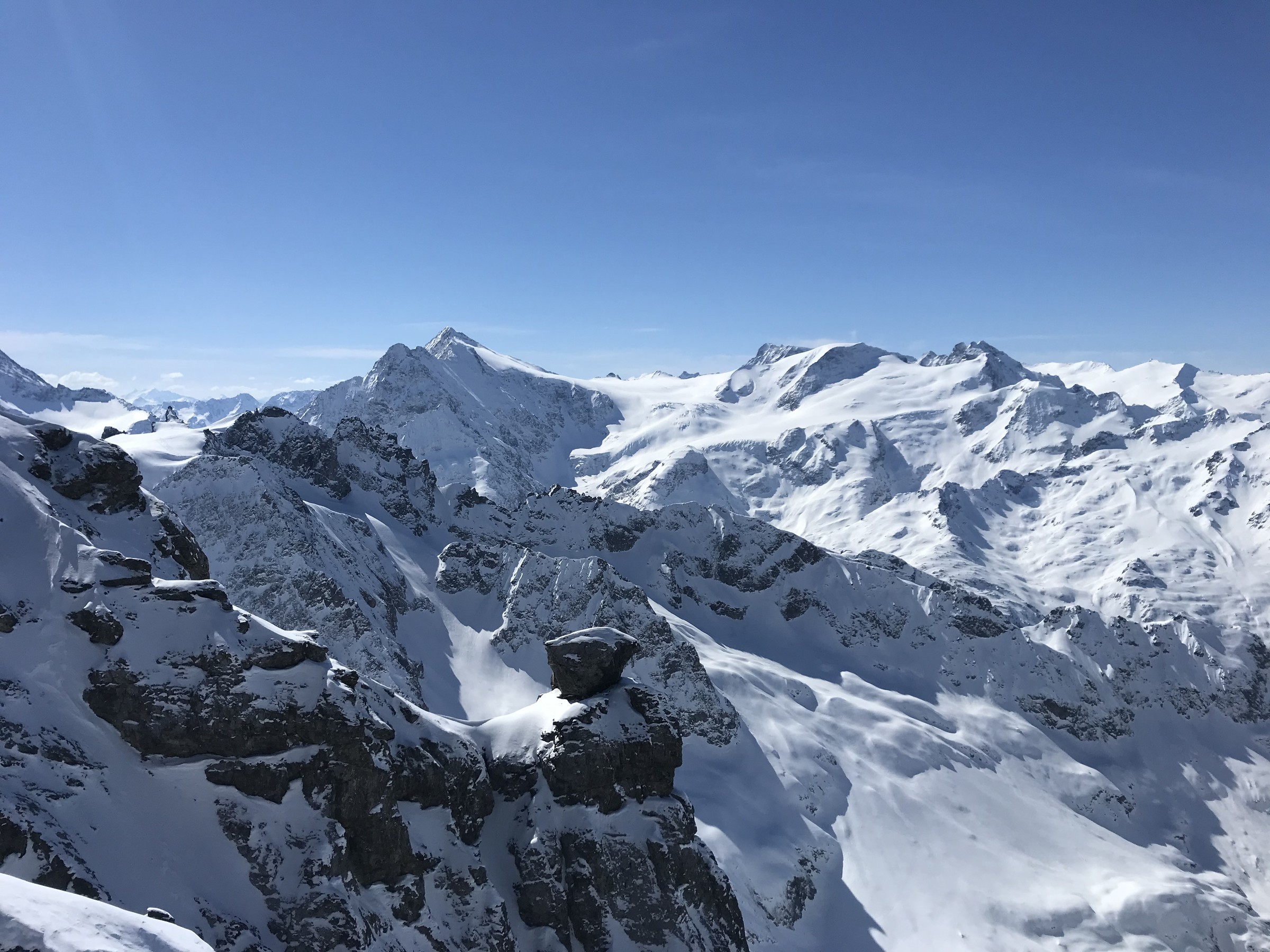 236254F9-BE64-4F7A-A9B0-42C79F13488F.jpeg