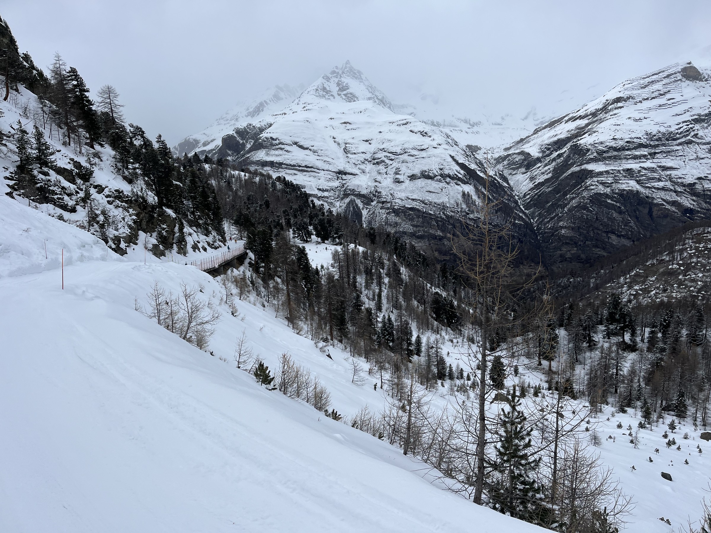 2564F796-5FA0-4882-9CC0-52C90F16ED0E.jpeg