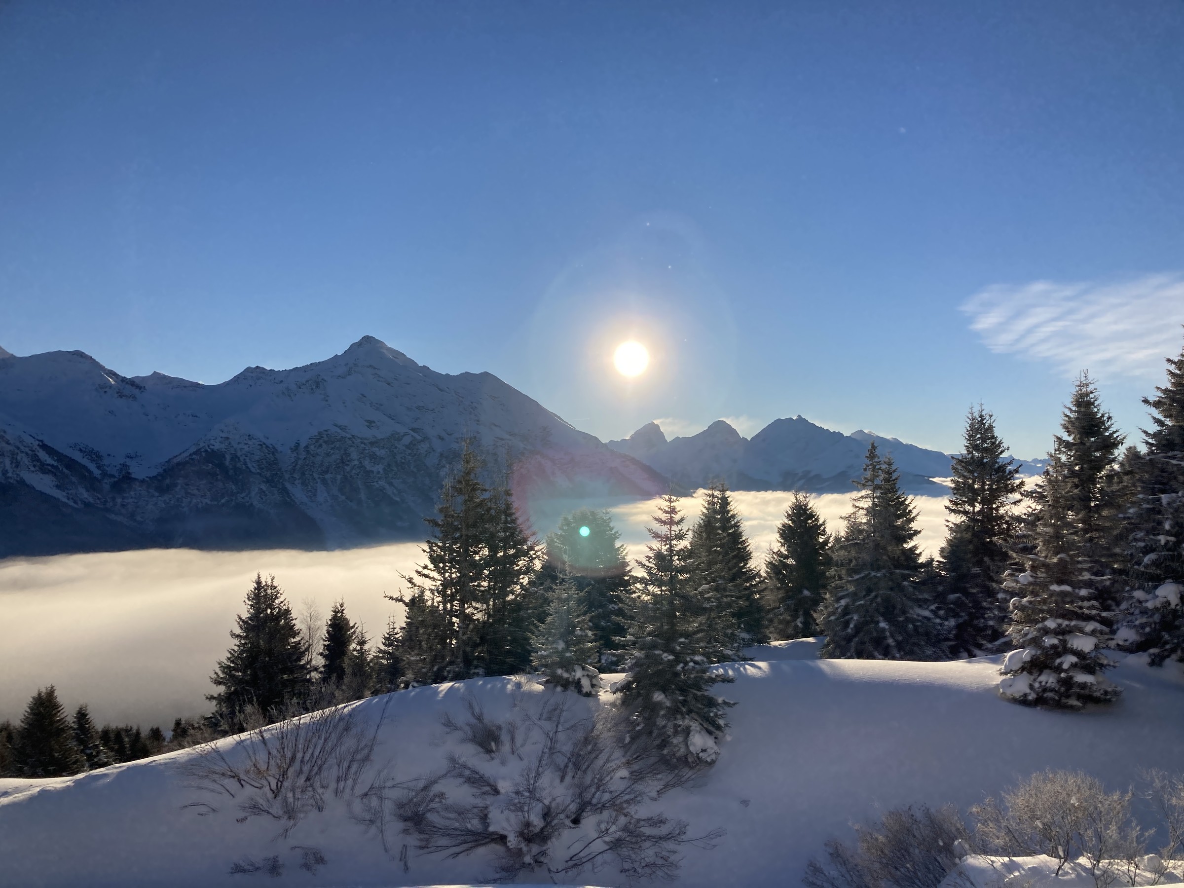 25E30D5B-FBDE-447E-B619-C6774F43AFAD.jpeg