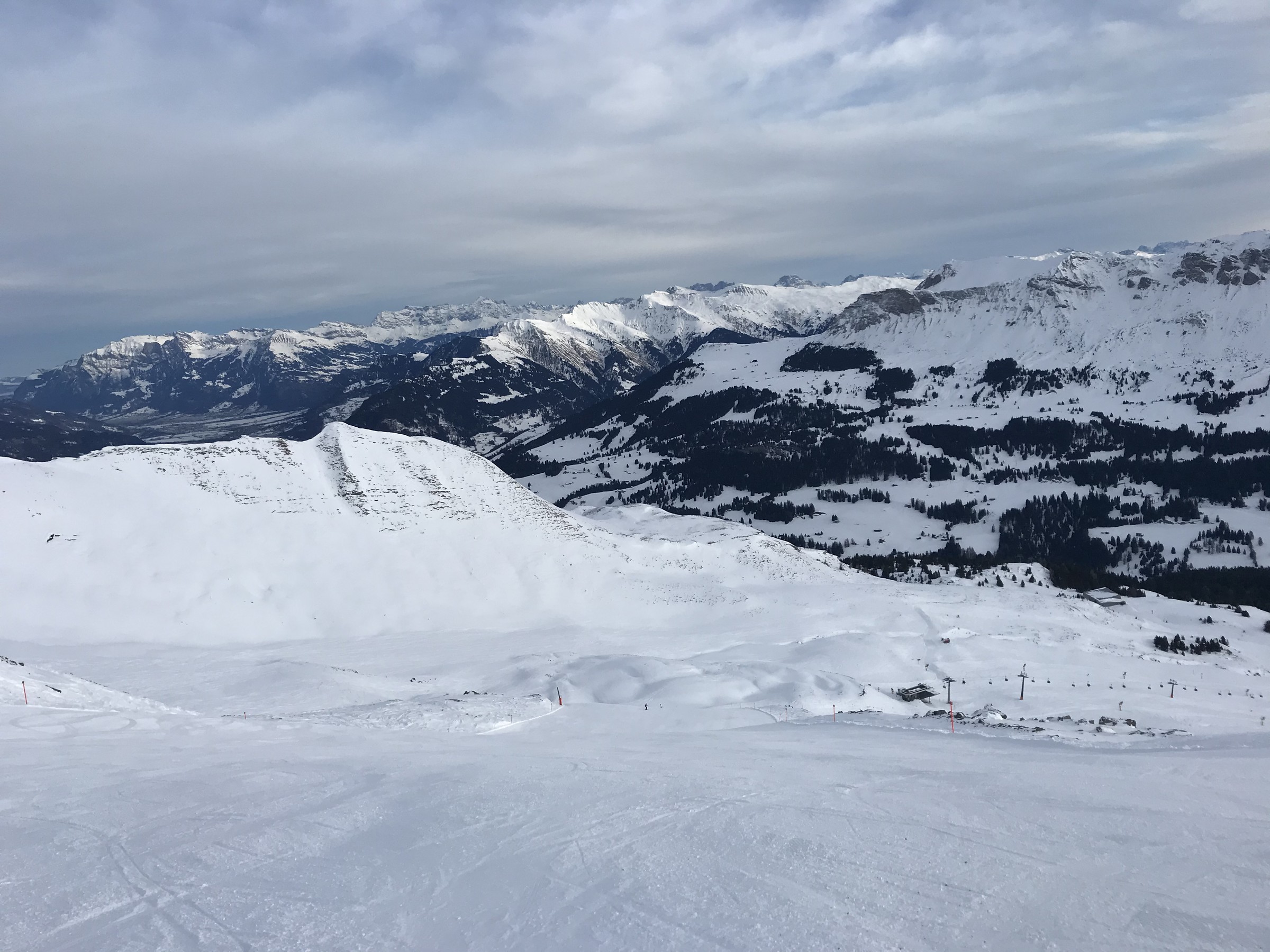 2621E1D5-4EAF-441D-83A7-7430206DF5DC.jpeg
