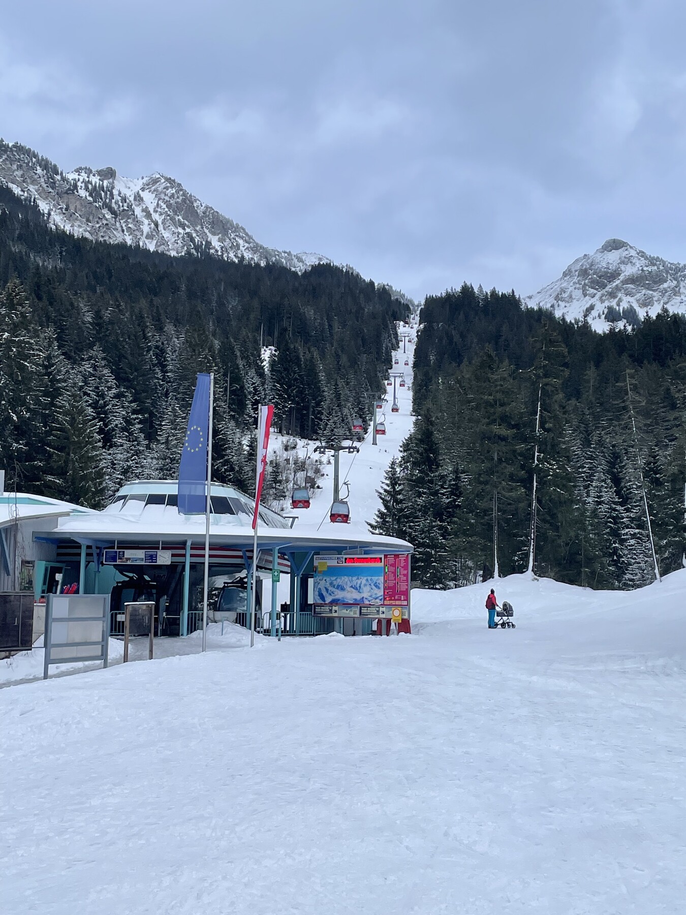 285D7F87-4DCA-430E-8138-B83FEB5927B9.jpeg
