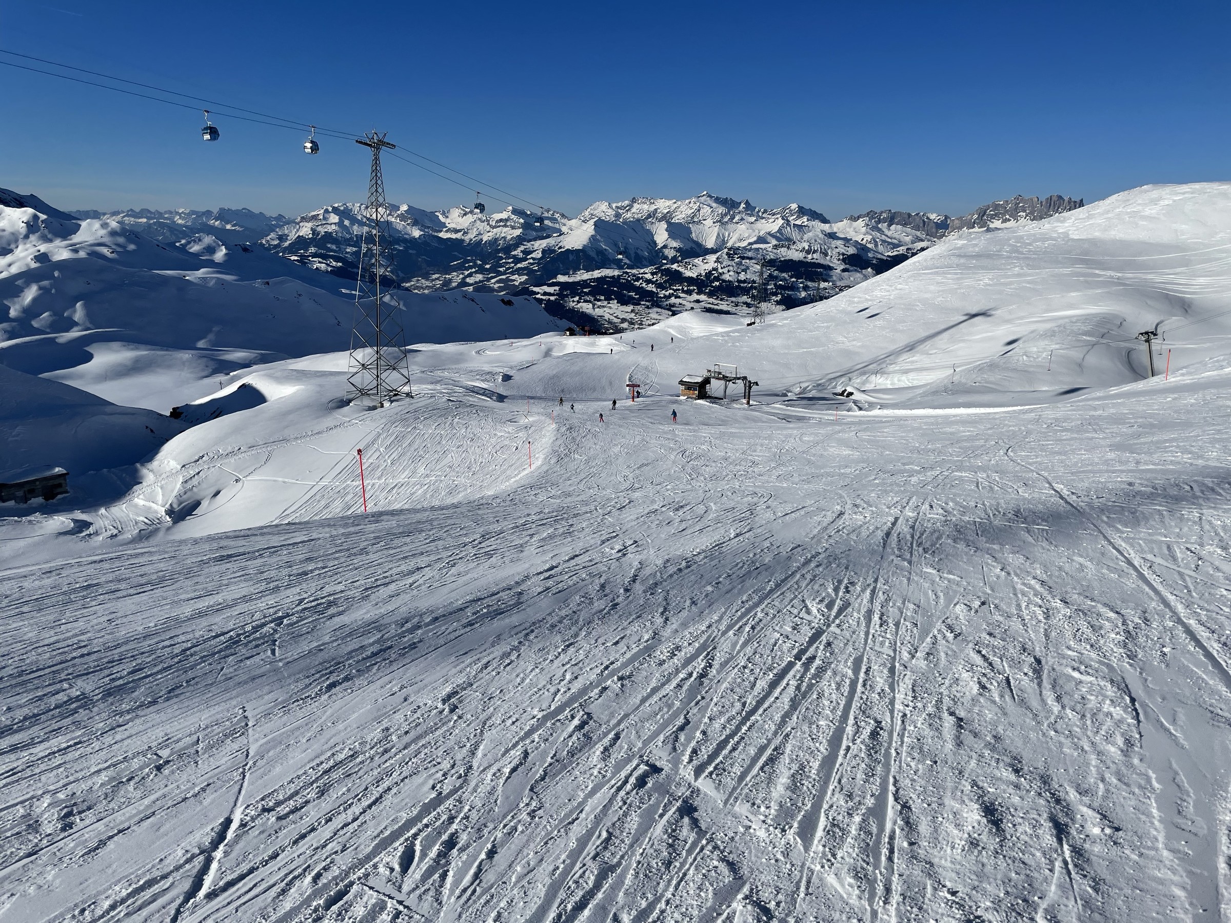 2A7D6E1E-1884-4237-B10F-A1BF7079A1E8.jpeg