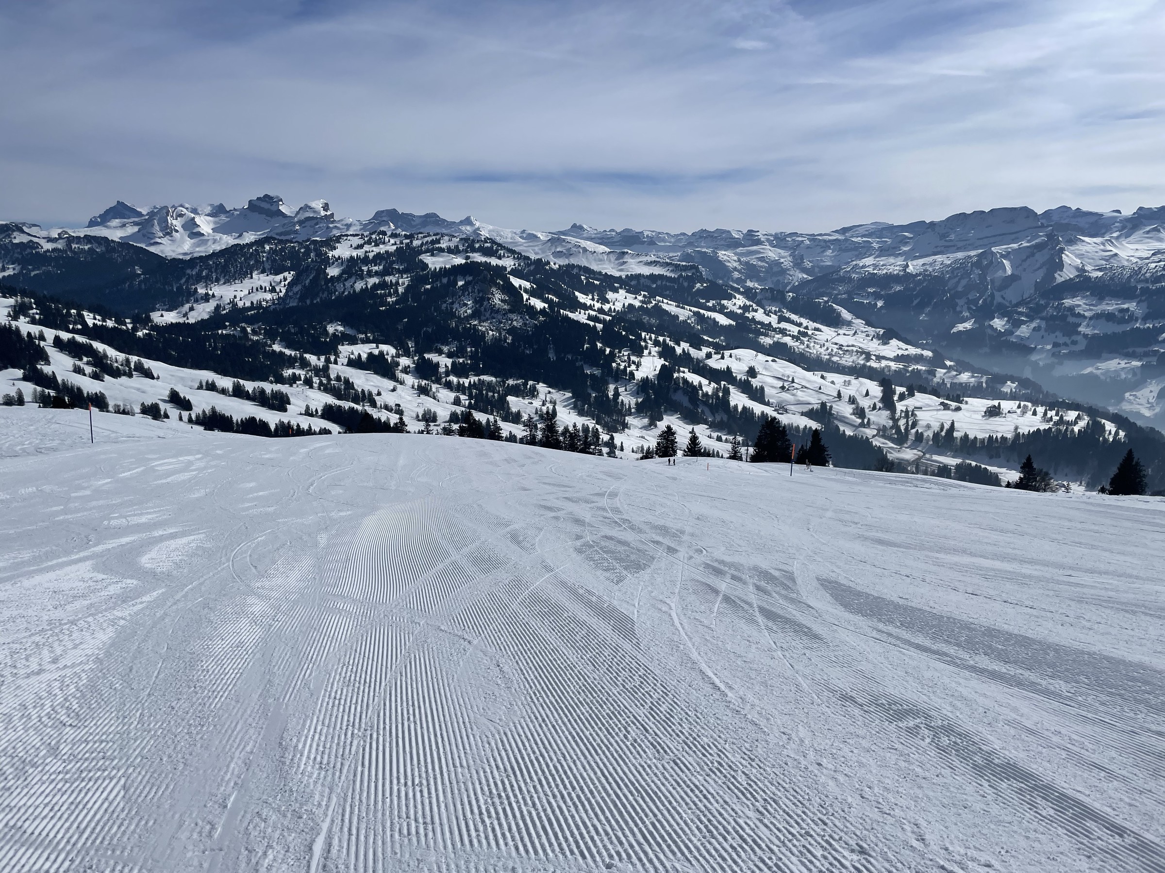 2B9433F1-7E5E-417F-9D37-A861F43993C2.jpeg
