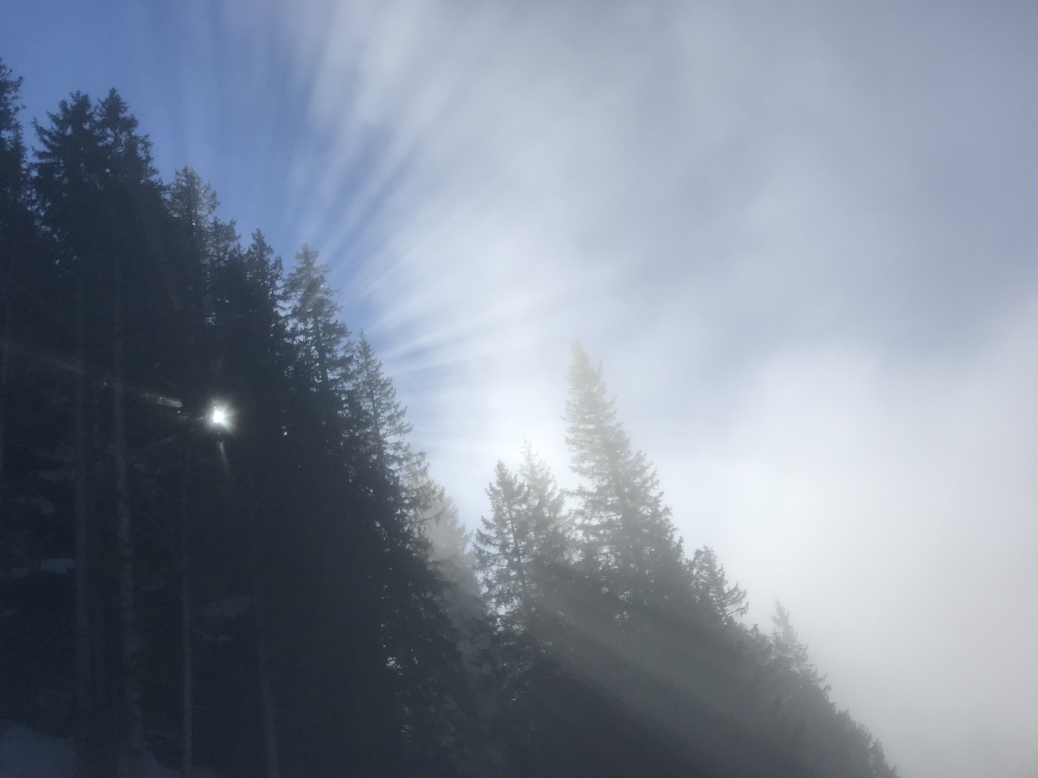 2C39EB90-A1DE-4D6E-8549-D07471EEF1D4.jpeg