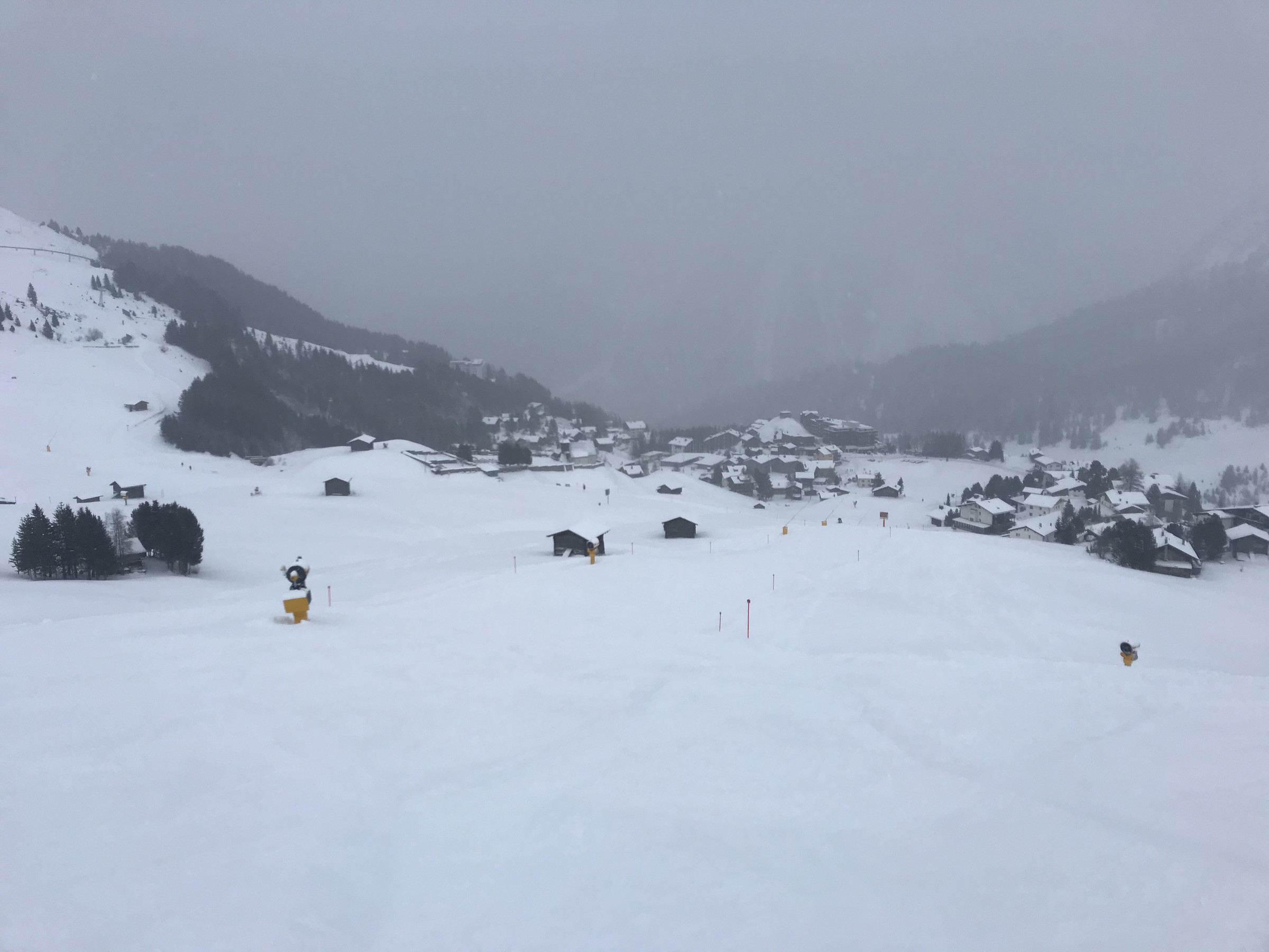 2D334456-CB28-450E-B985-22278AE5576A.jpeg