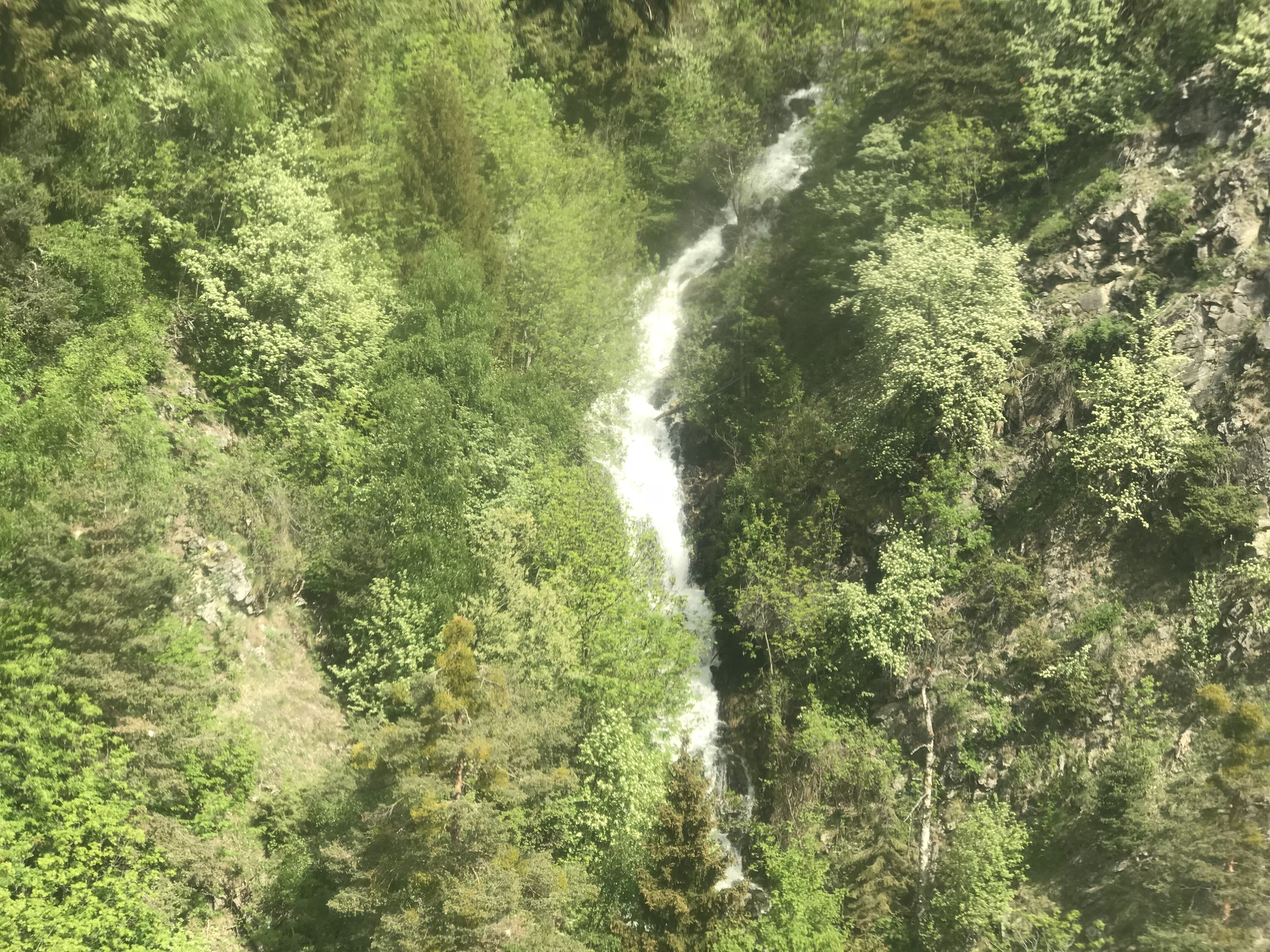 315D74B5-8203-4AEA-A04B-201B251D124B.jpeg