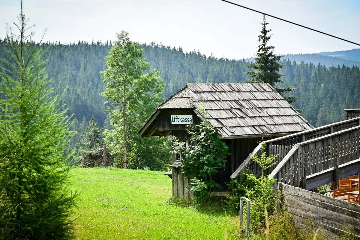 32.webp